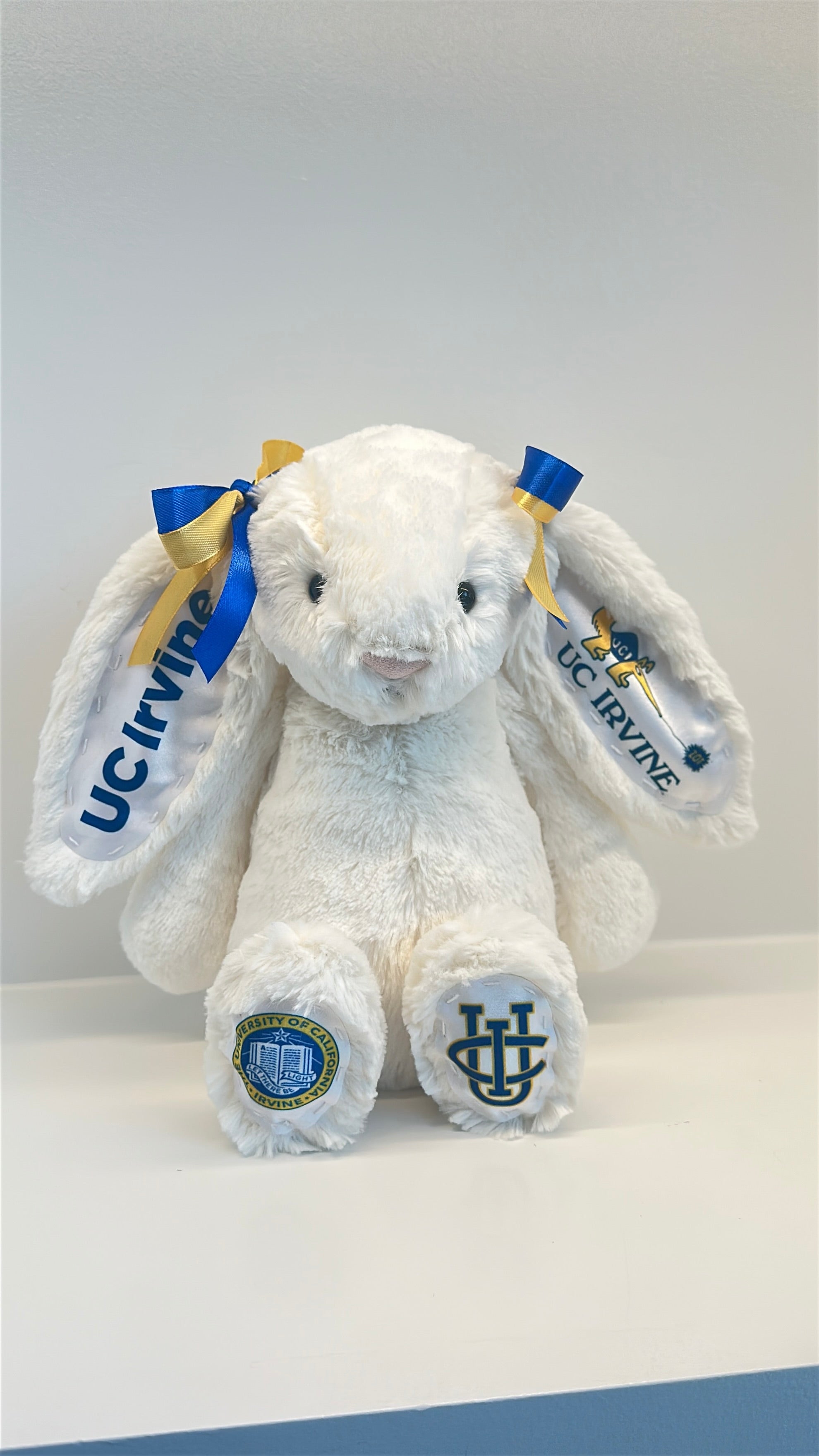 University of California Irvine Fully Custom College Jellycat Bunny