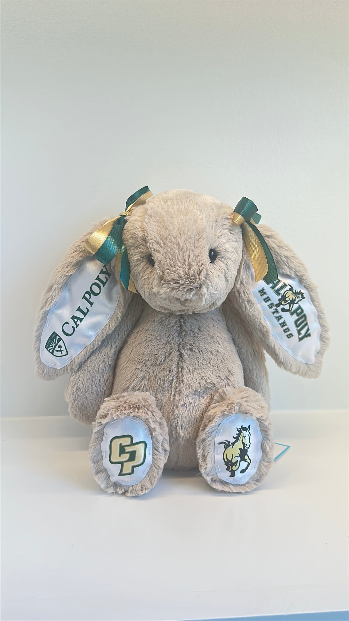 California Polytechnic State University (Cal Poly) Fully Custom College Jellycat Bunny