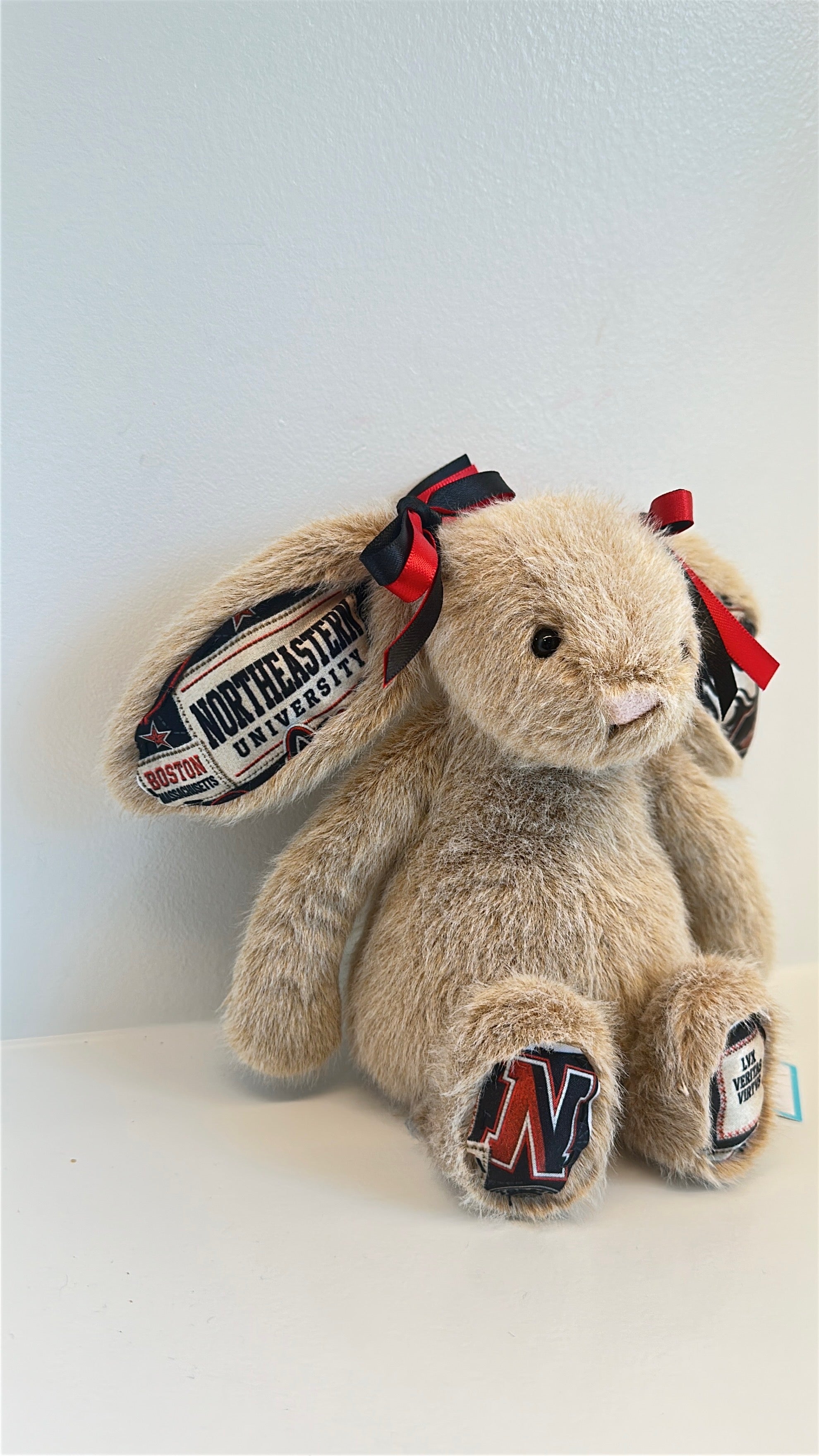 Northeastern University Custom College Jellycat Bunny