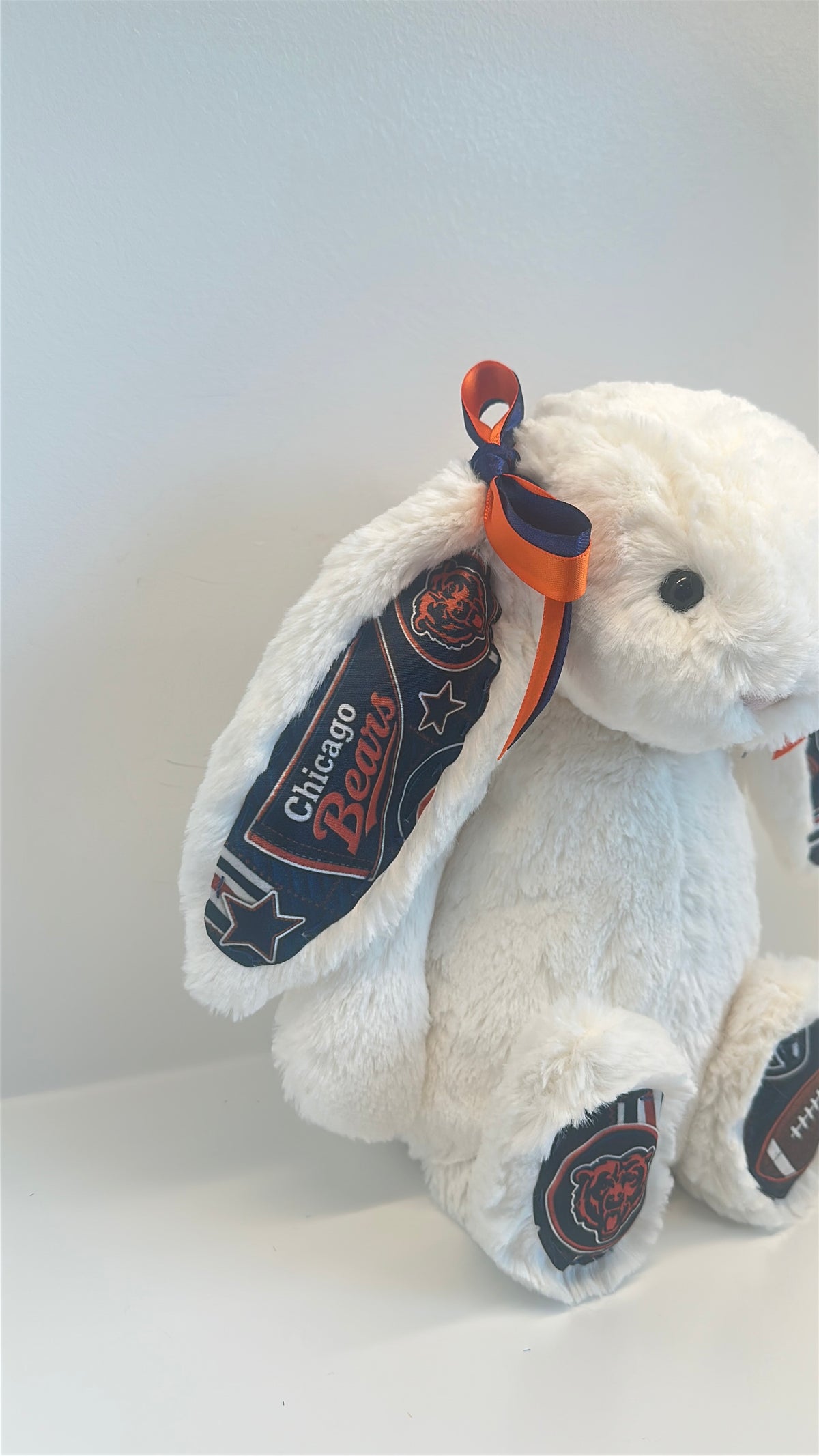 Custom Sports Team Bunny (NFL, NBA, MLB, NHL)