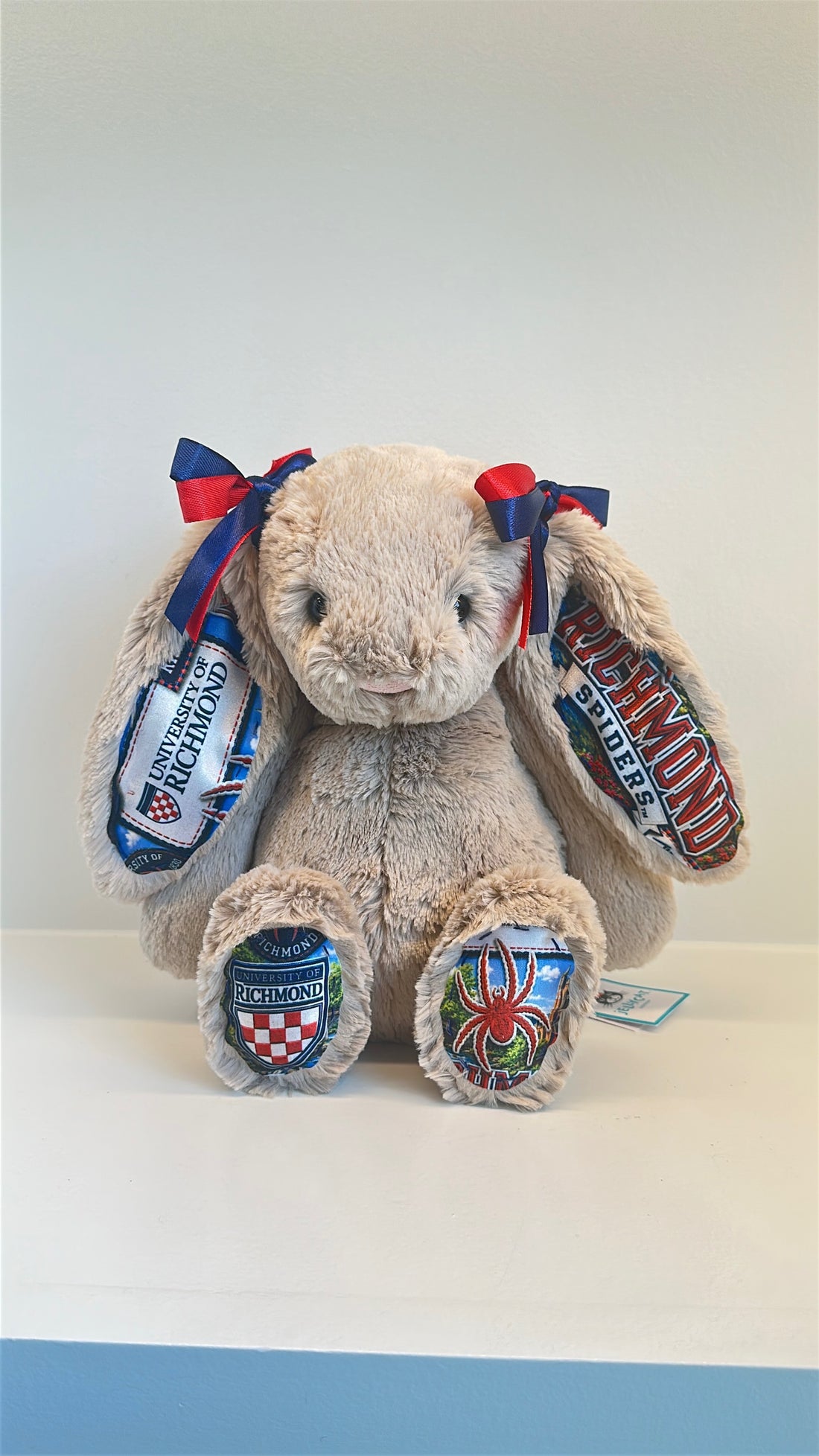 University of Richmond Custom College Jellycat Bashful Bunny