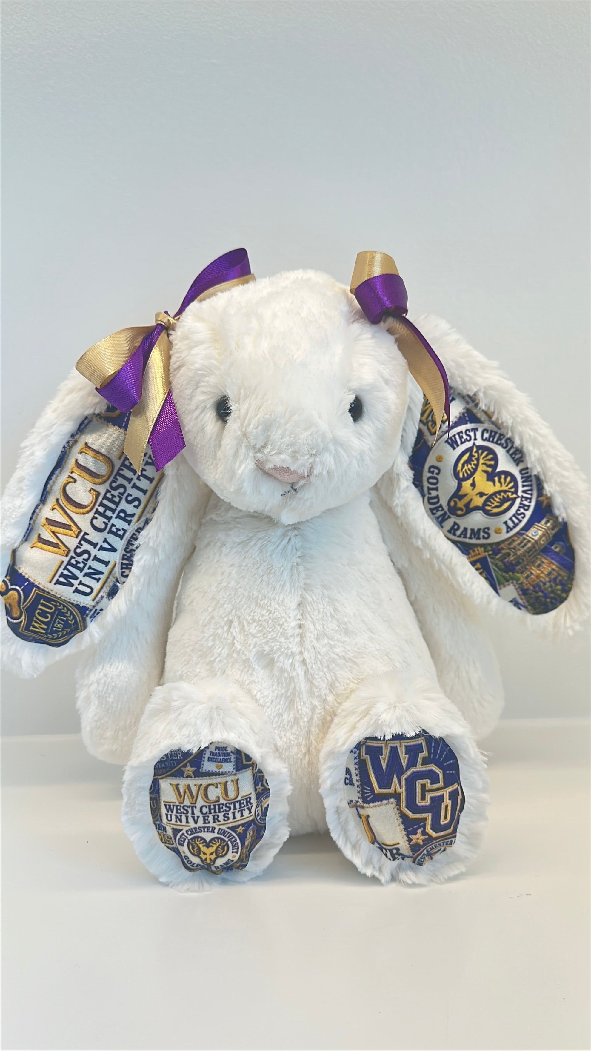 West Chester Fully Custom College Jellycat Bunny