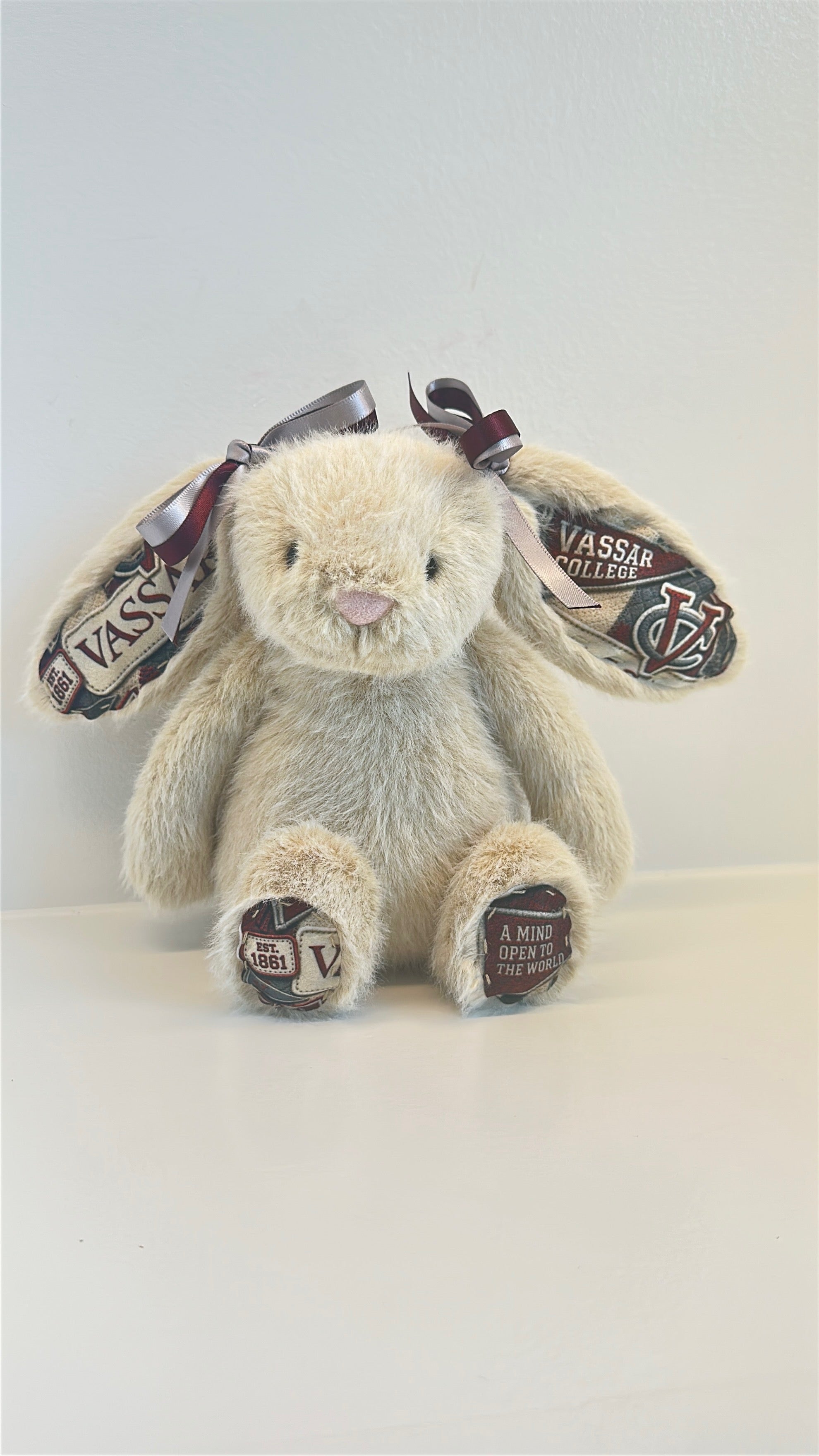 Vassar College Jellycat Plush