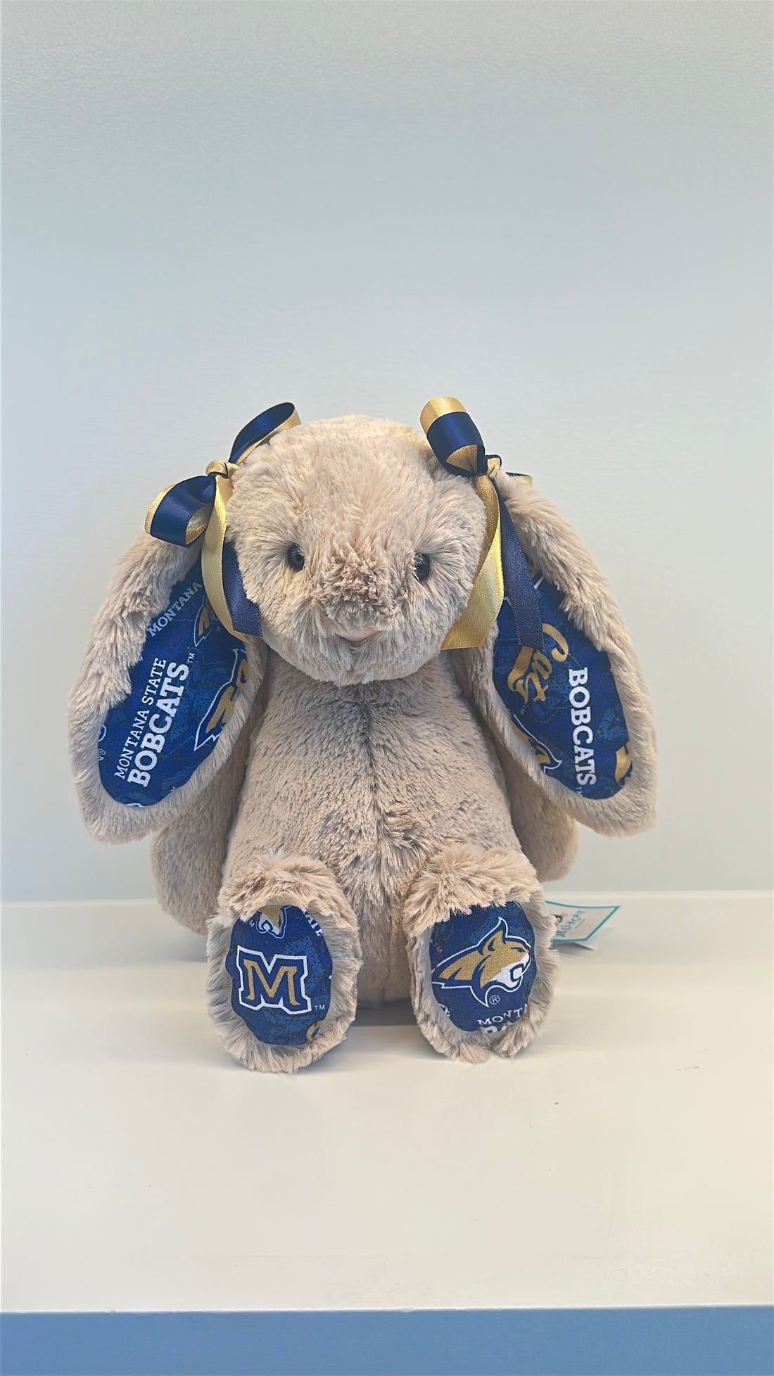 Montana State University Custom College Jellycat Bashful Bunny