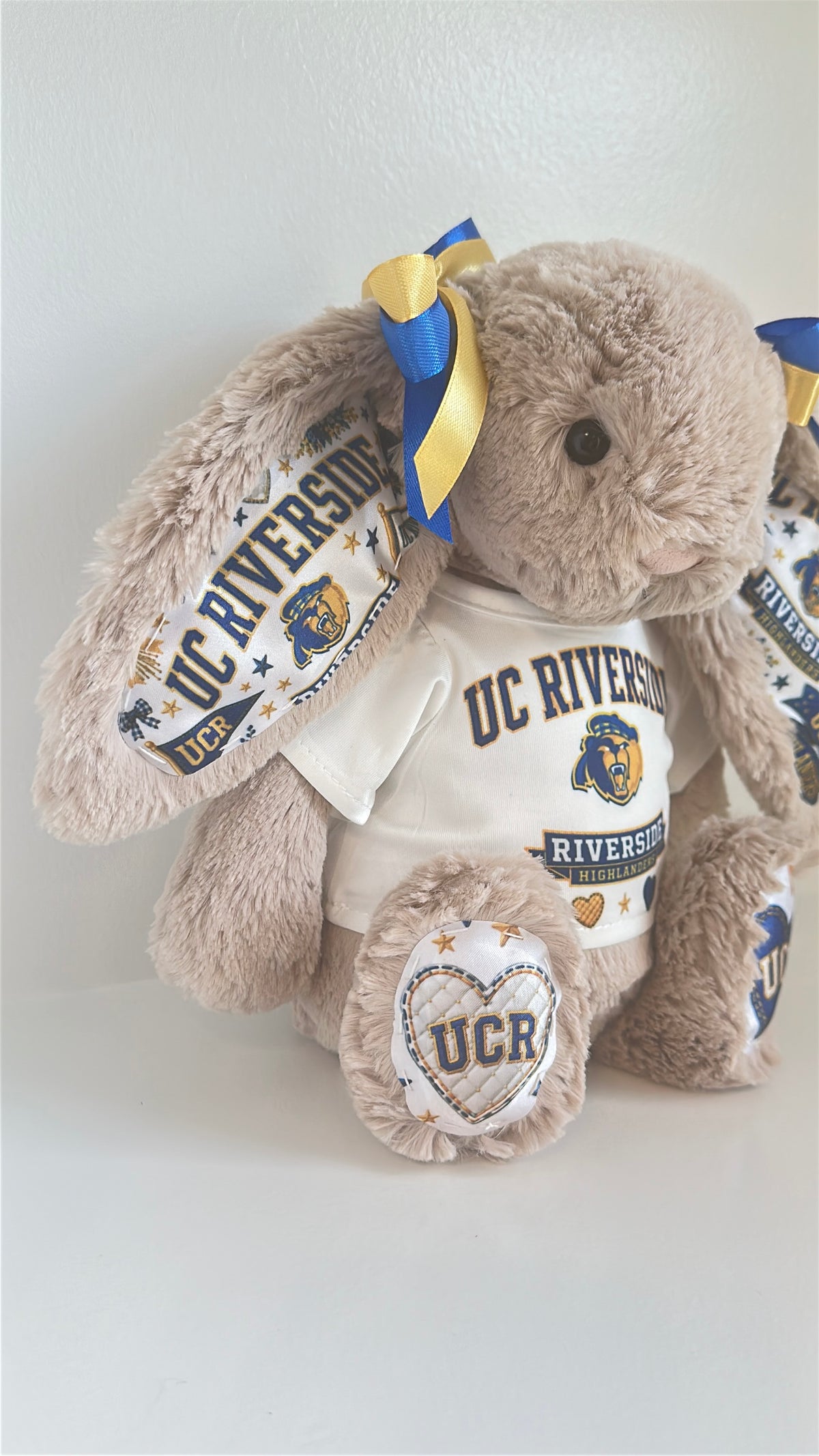 University of California Riverside (UCR) Fully Custom Jellycat Bunny