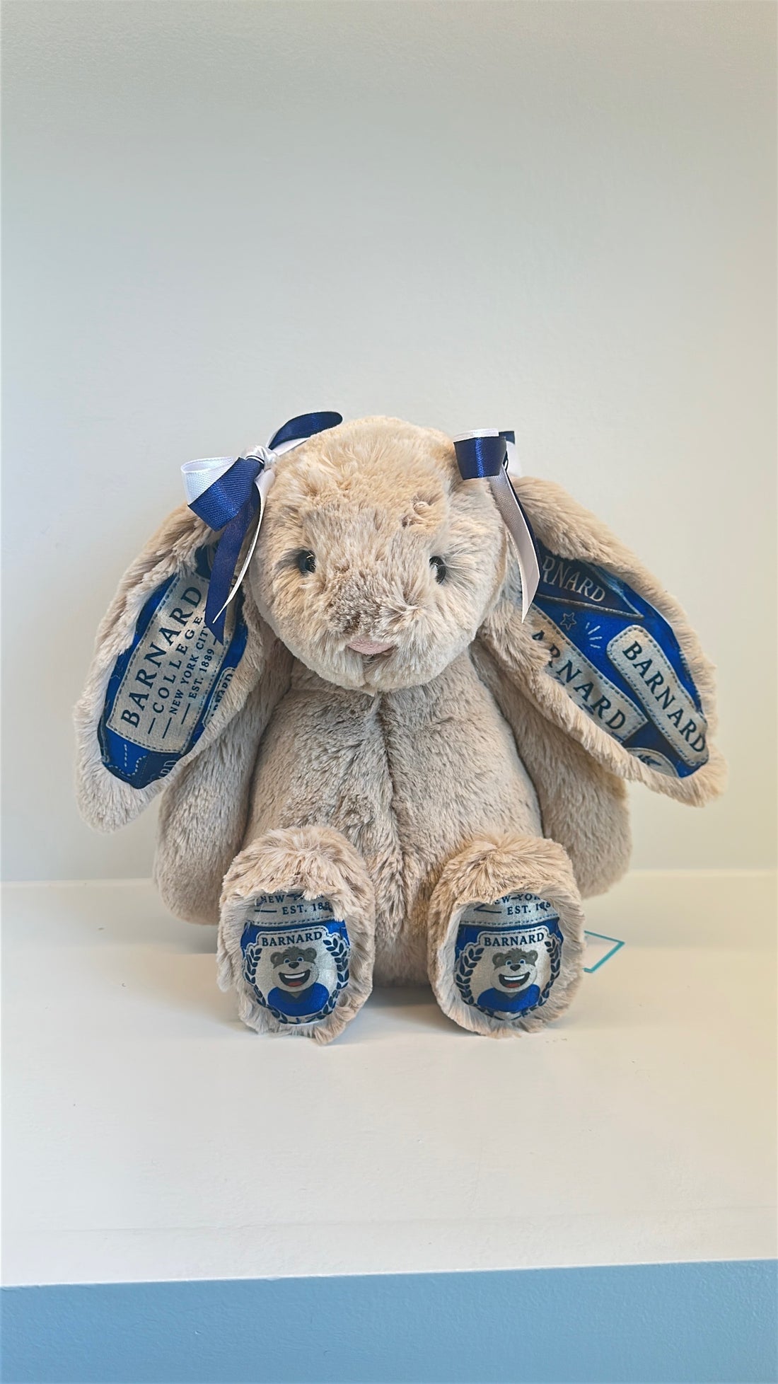 Barnard Custom College Jellycat Bashful Bunny