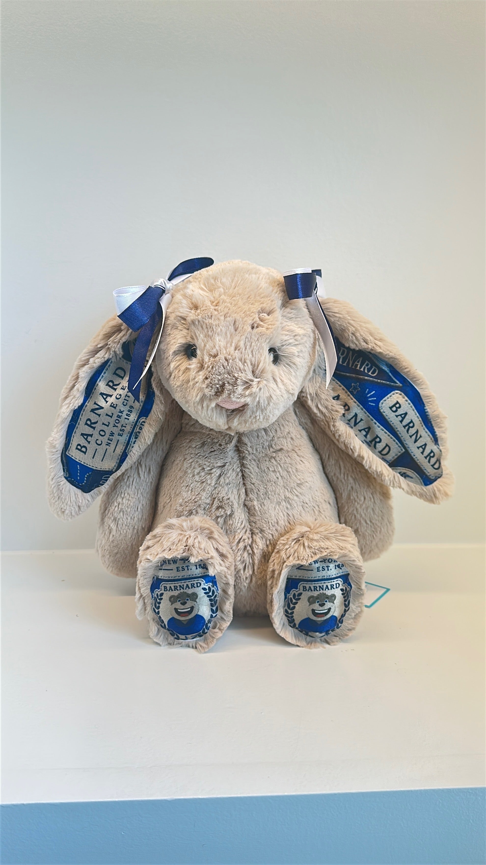 Barnard Custom College Jellycat Bashful Bunny