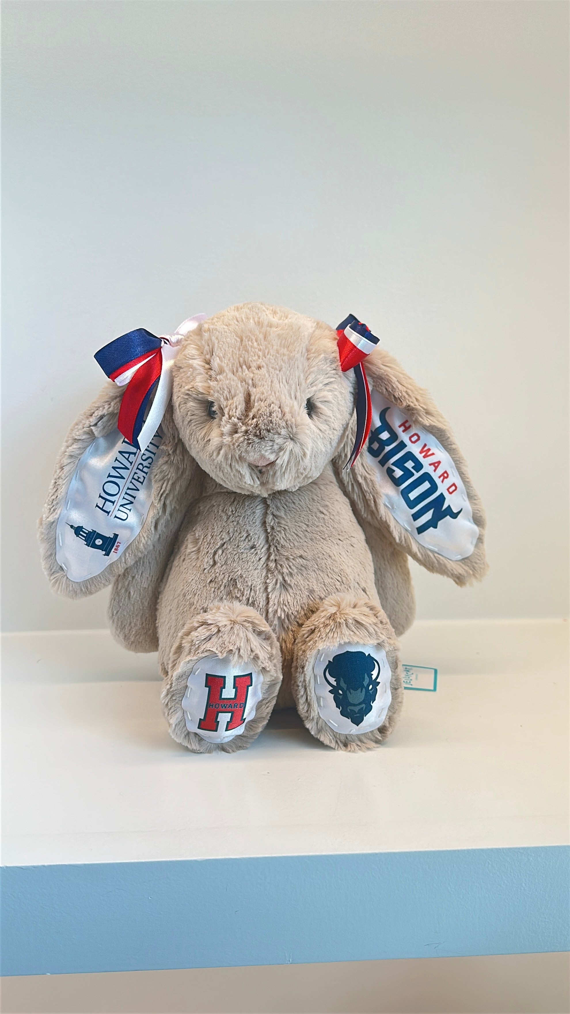 Howard University Fully Custom Jellycat Bunny