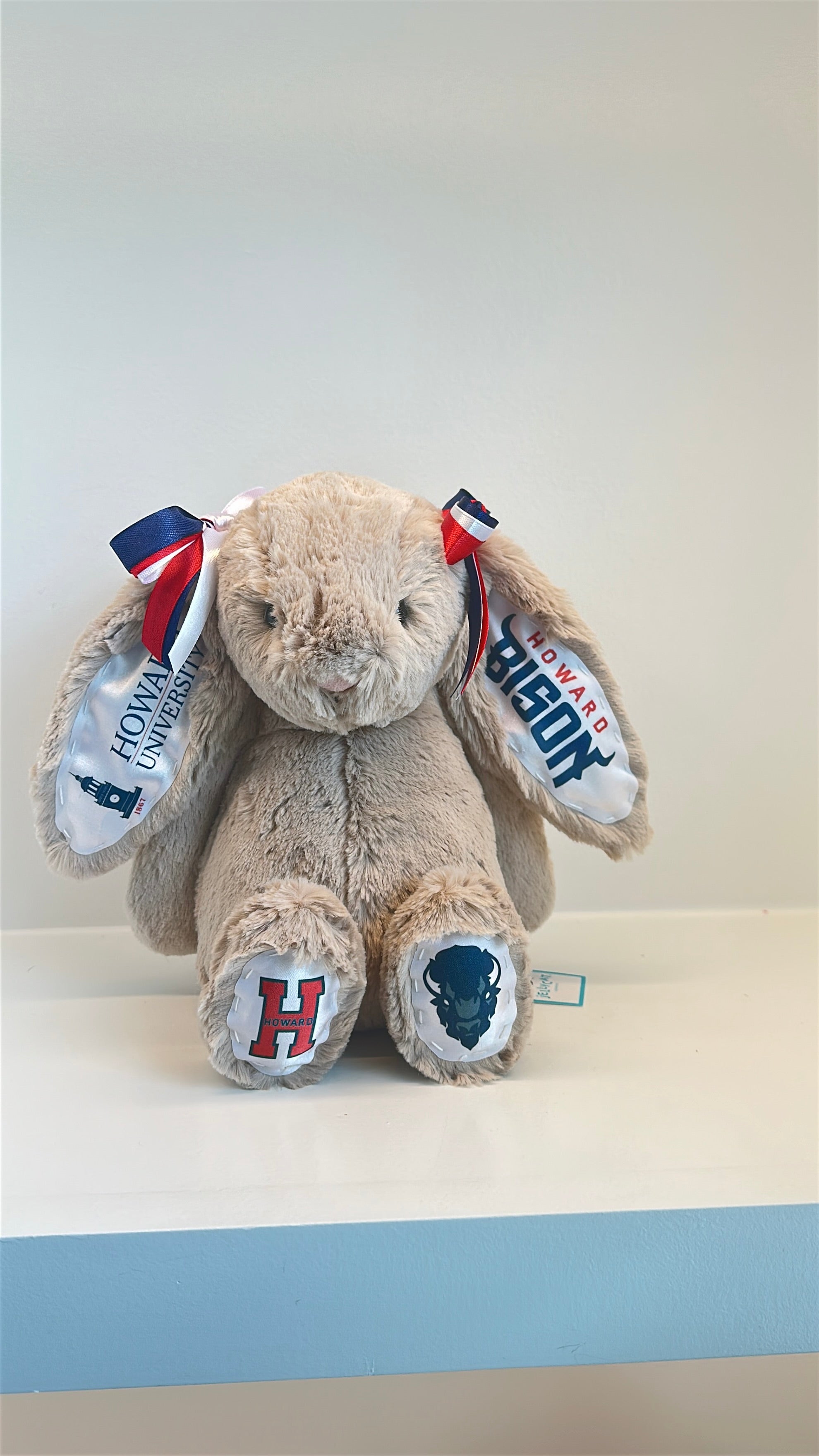 Howard University Fully Custom Jellycat Bunny