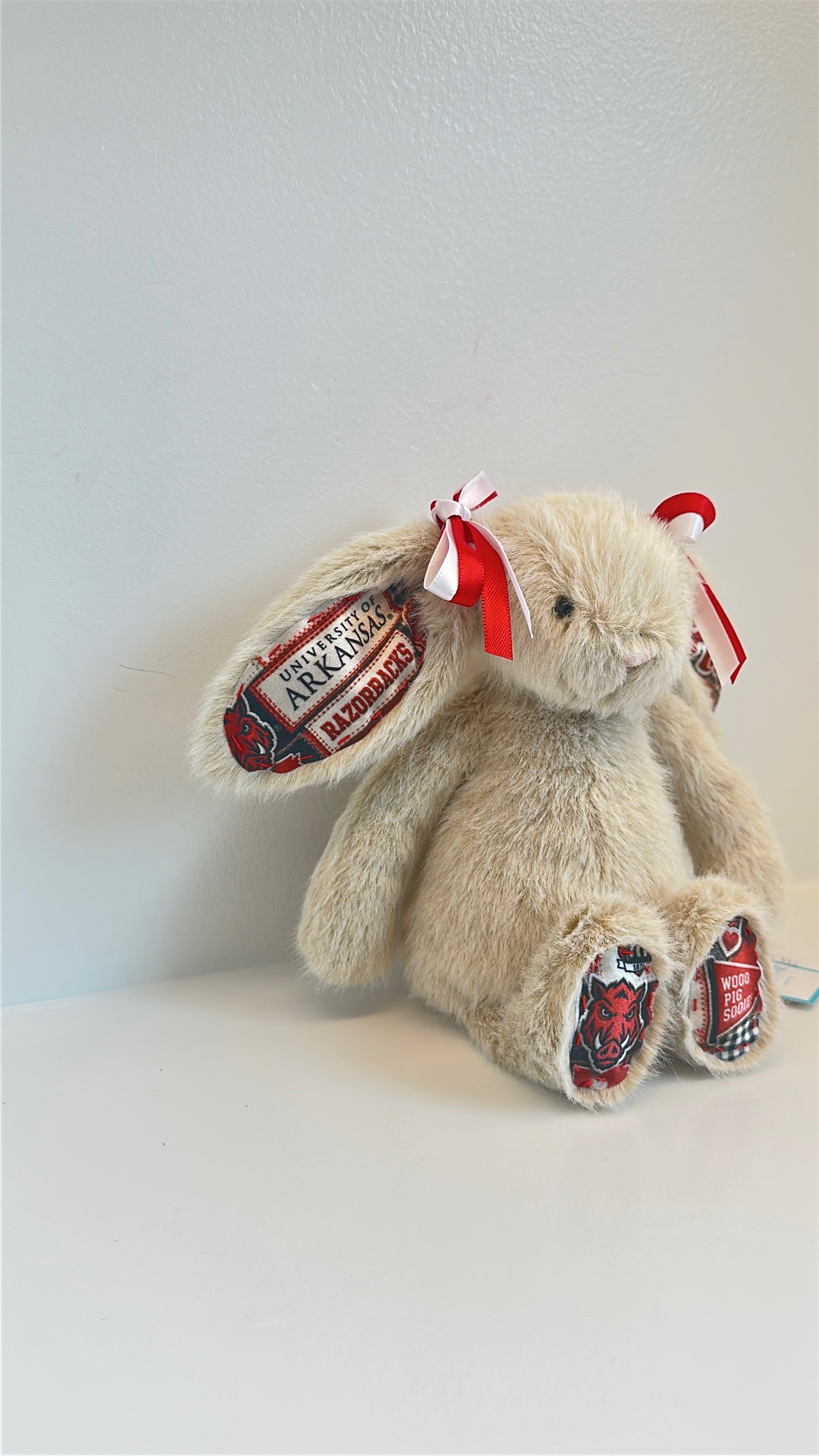 University of Arkansas Custom College Jellycat Bunny