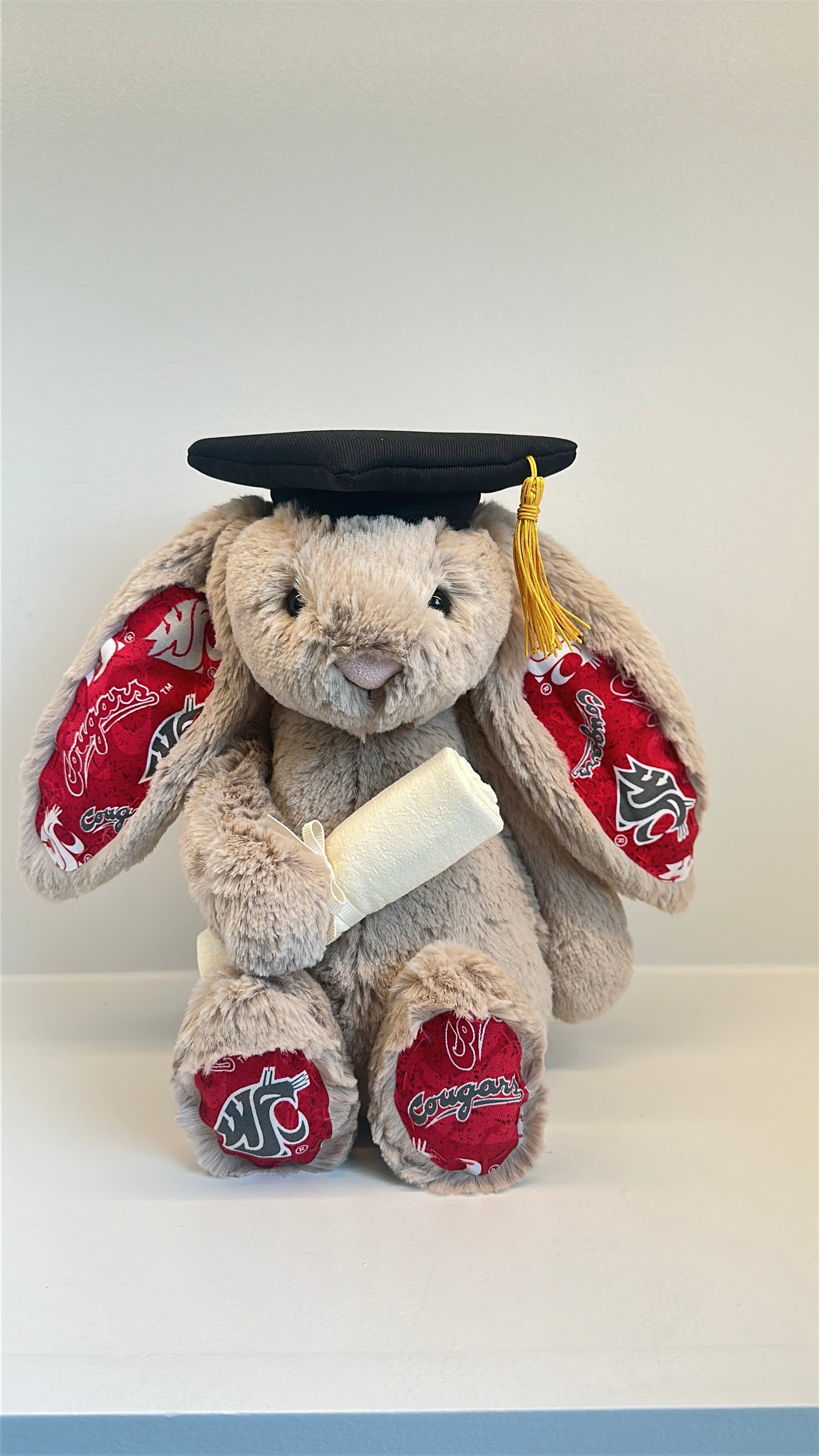 Washington State University College Jellycat Bunny