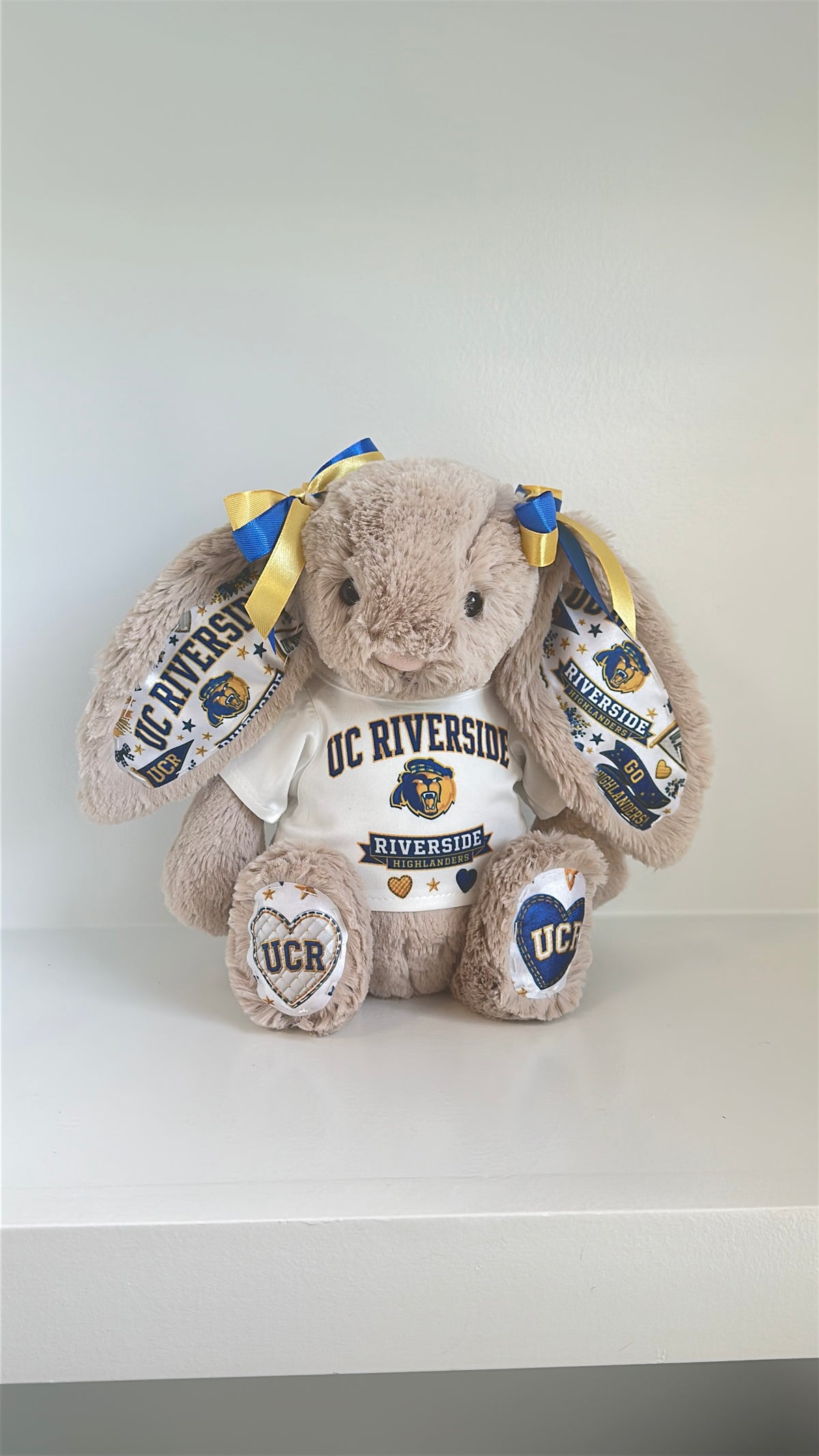 University of California Riverside (UCR) Fully Custom Jellycat Bunny