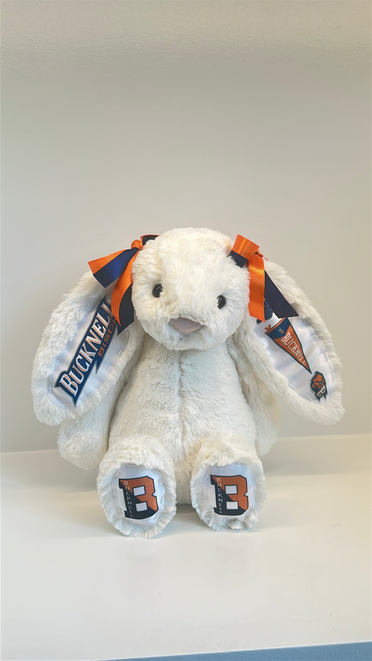 Bucknell Fully Custom College Jellycat Bunny