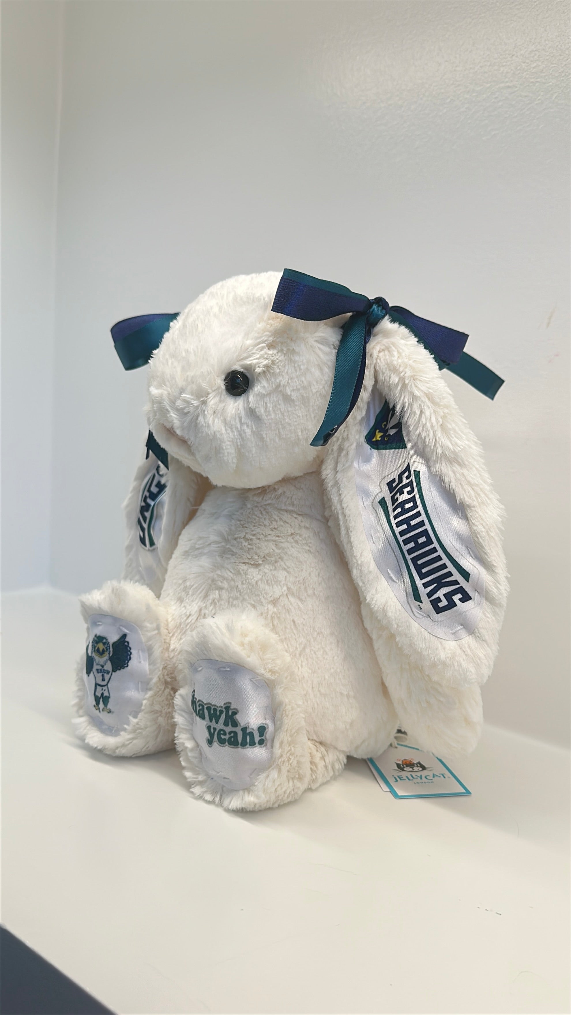 University of North Carolina Wilmington (UNCW) Custom College Jellycat Bashful Bunny
