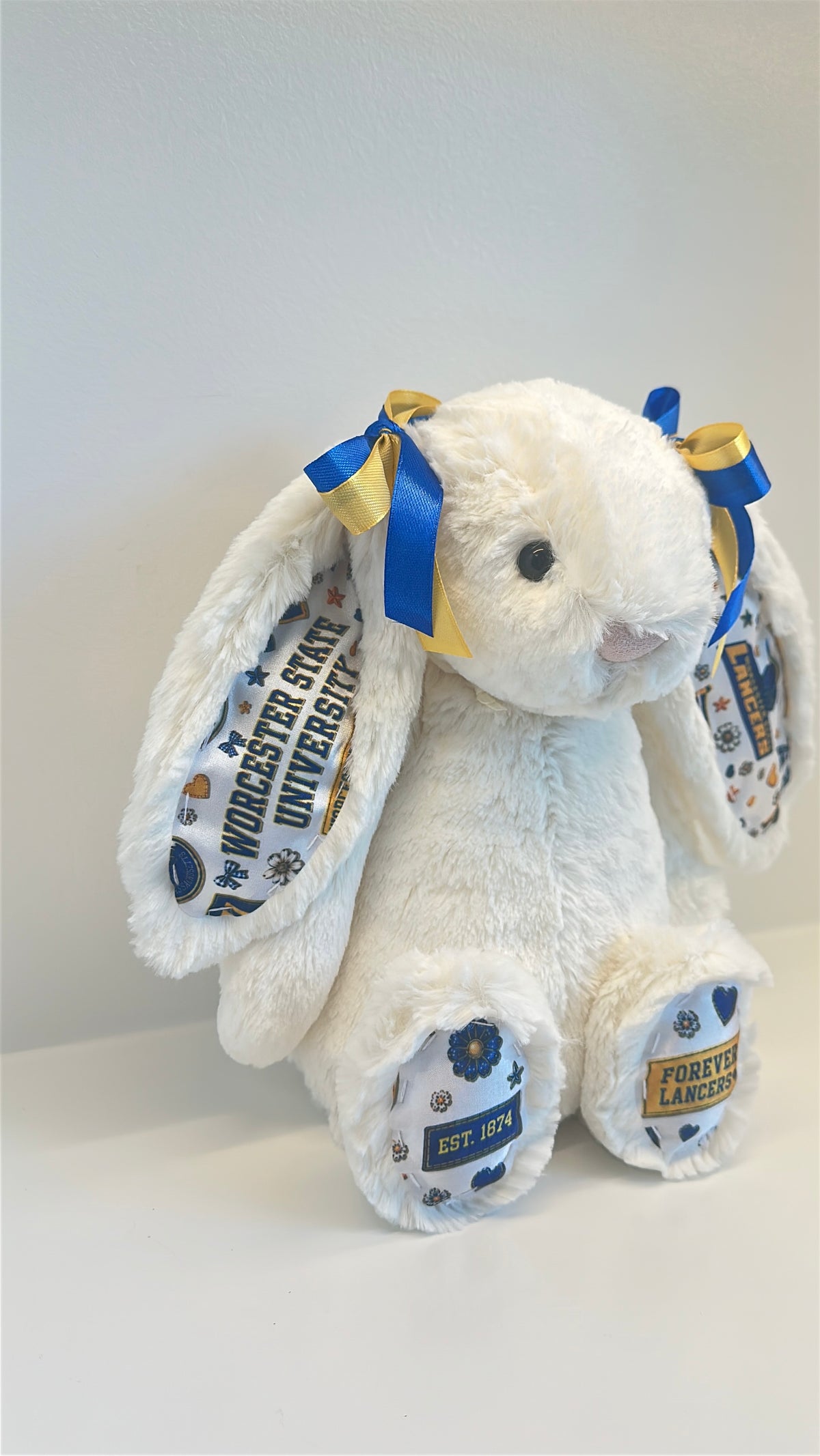 Worcester State University Fully Custom Jellycat Bunny
