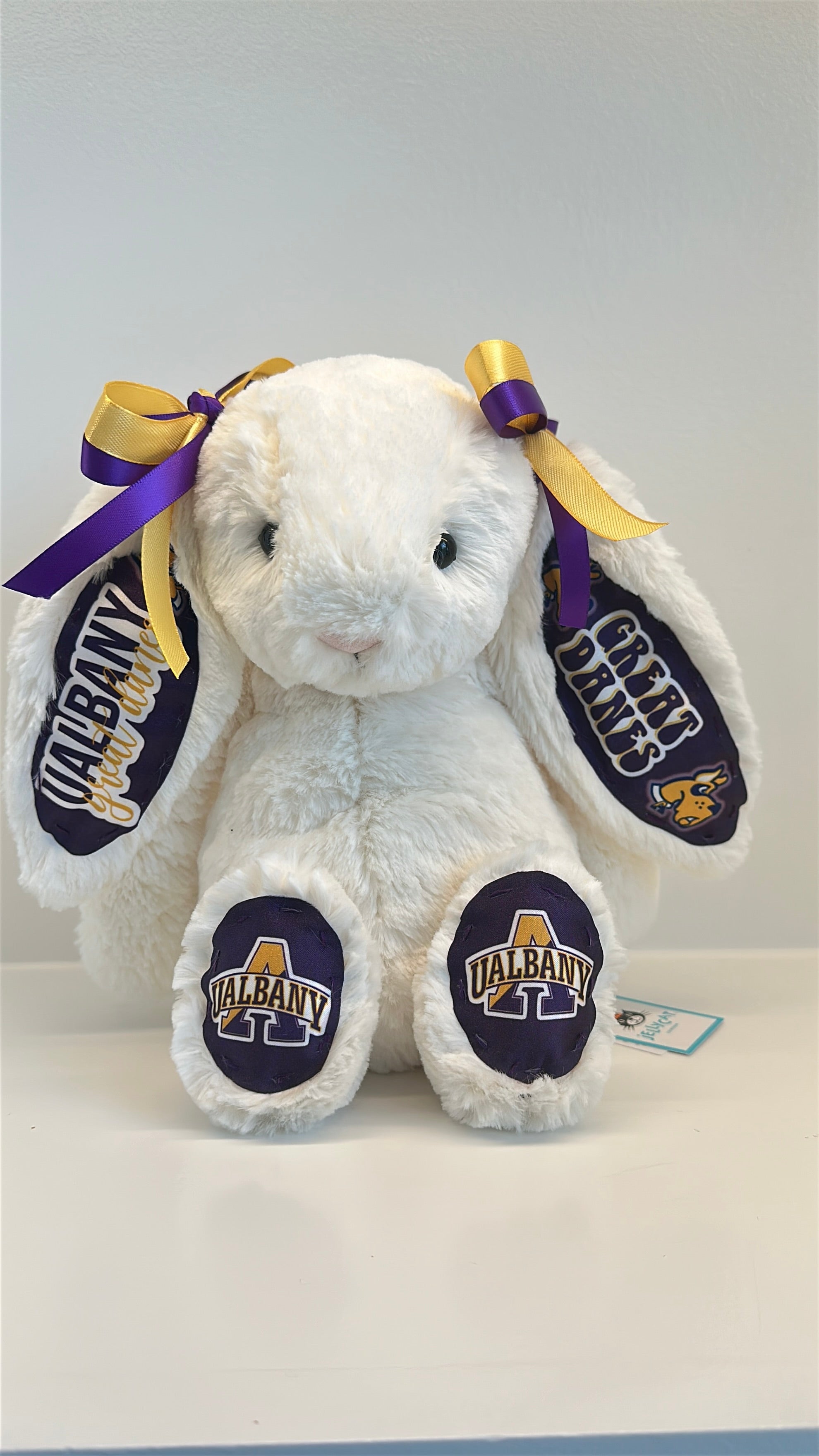 University at Albany Custom College Jellycat Bashful Bunny