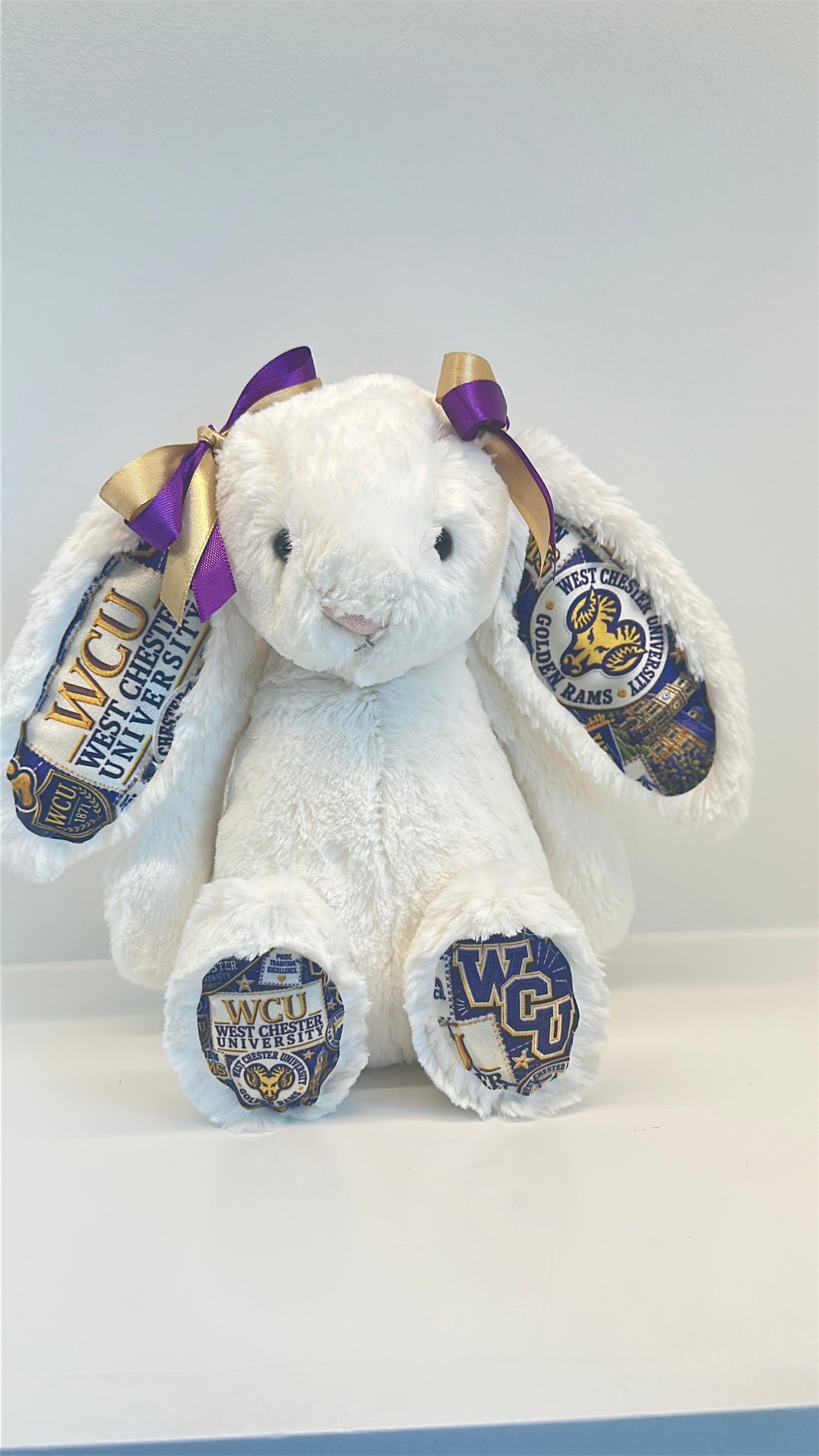 West Chester Fully Custom College Jellycat Bunny
