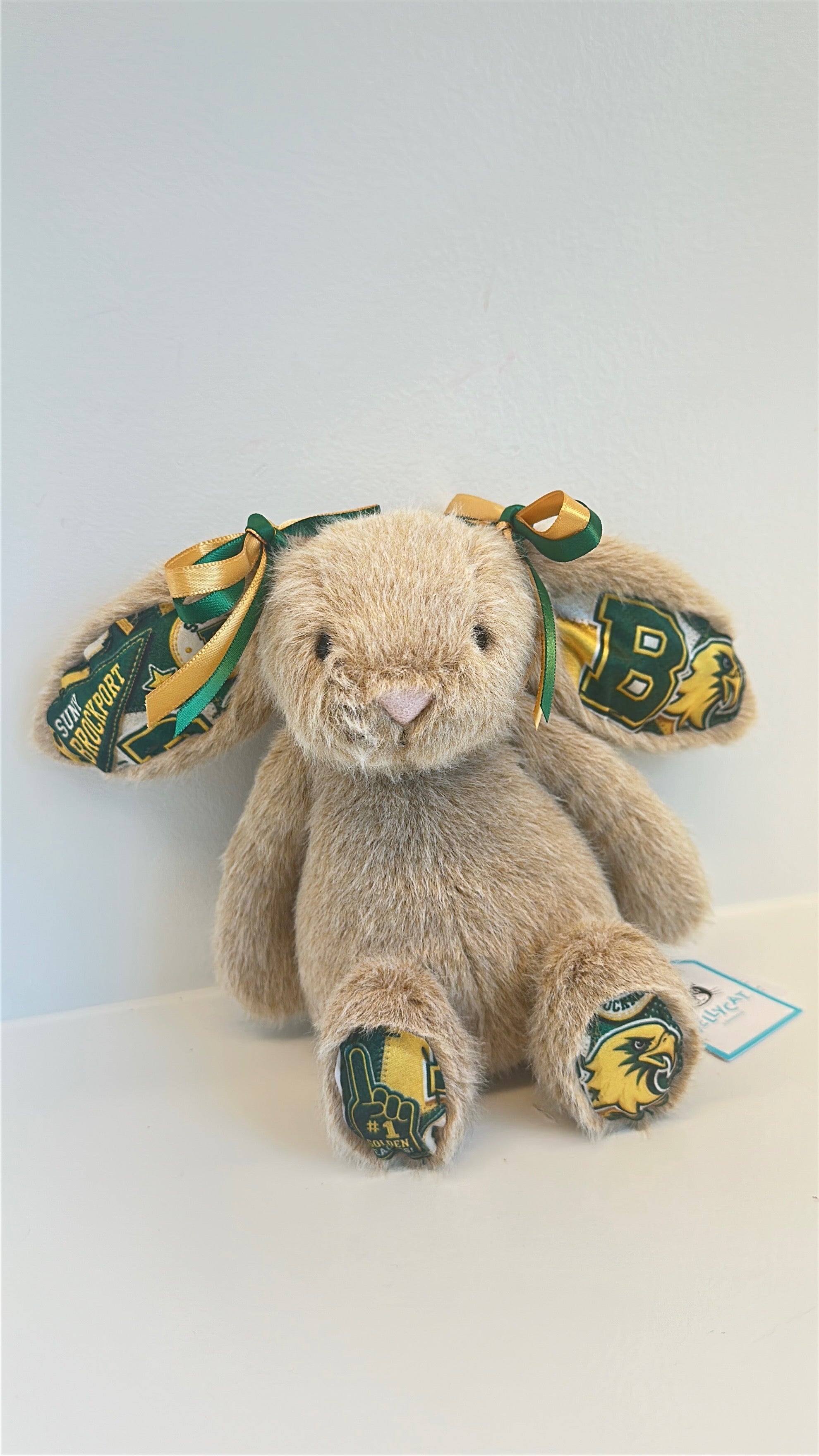 State University of New York Brockport (SUNY) Fully Custom College Jellycat Bunny