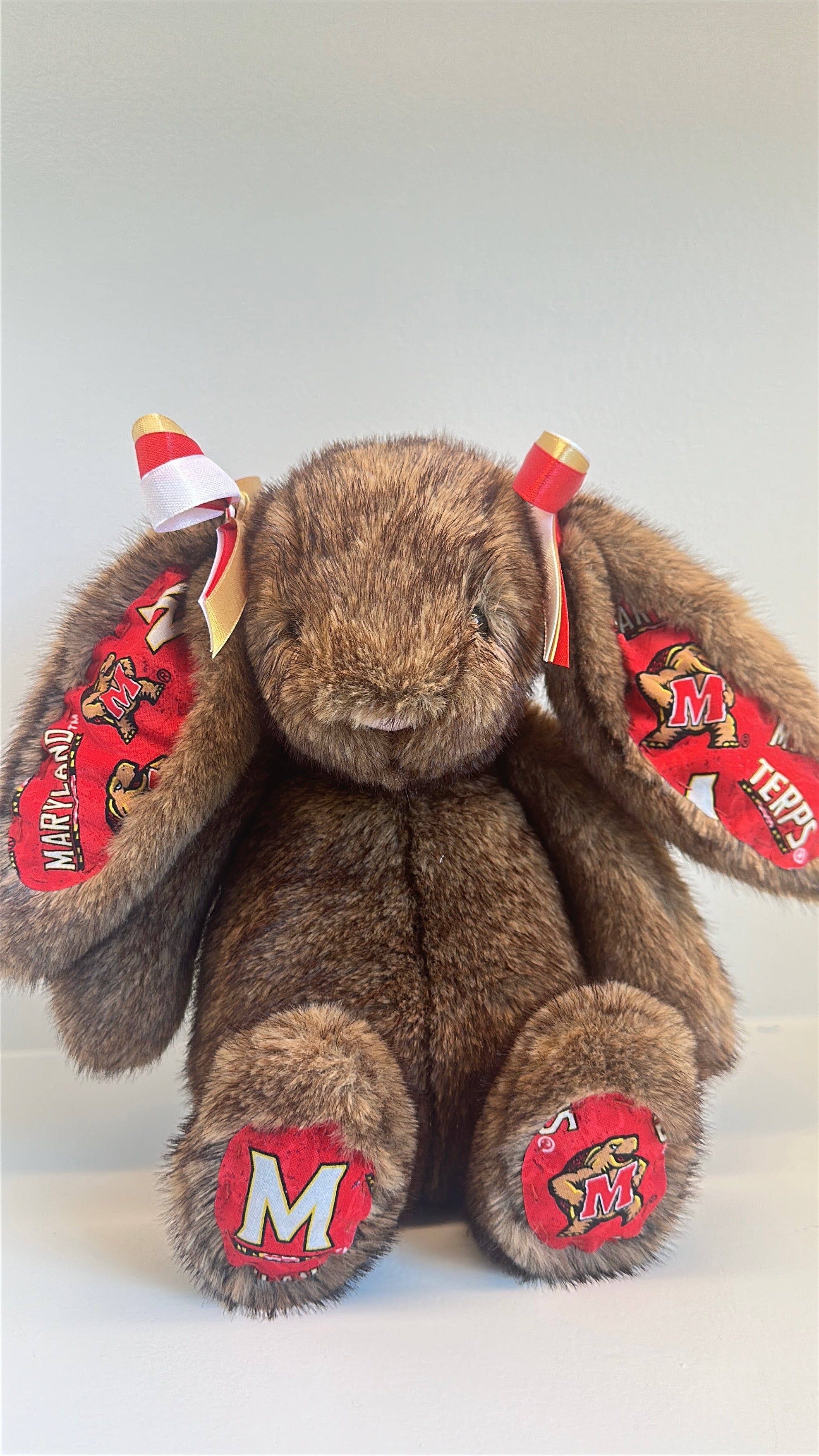 University of Maryland College Jellycat Bunny