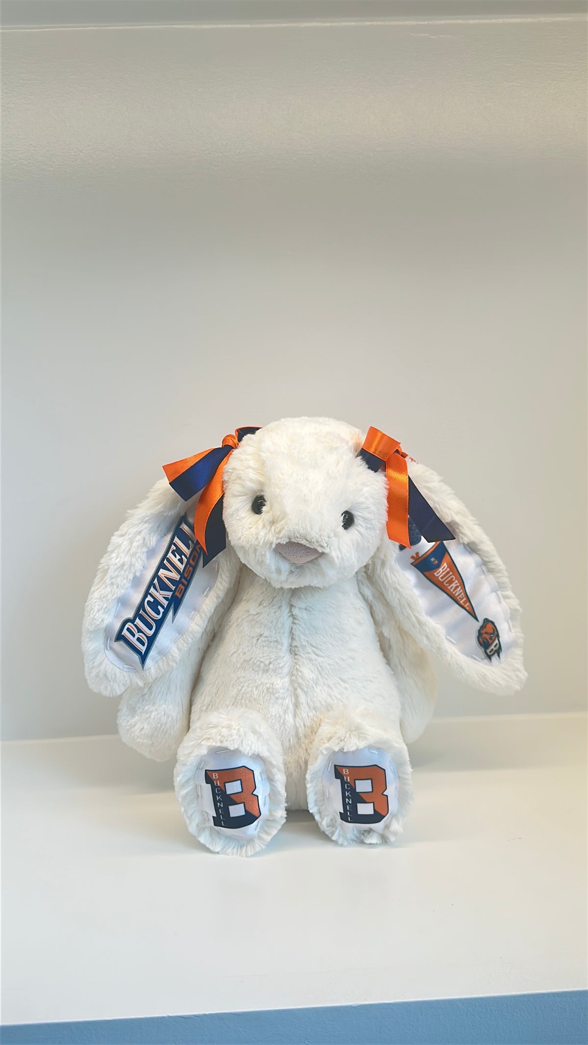 Bucknell Fully Custom College Jellycat Bunny
