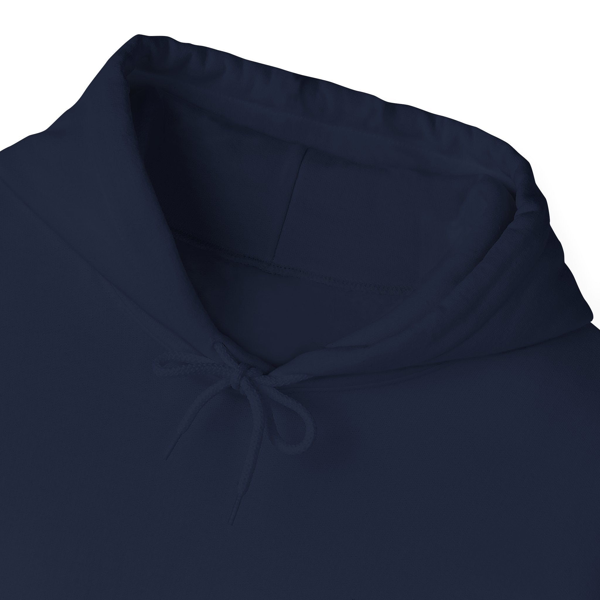 Customizable Tri-Star Blue Gingham Hoodie