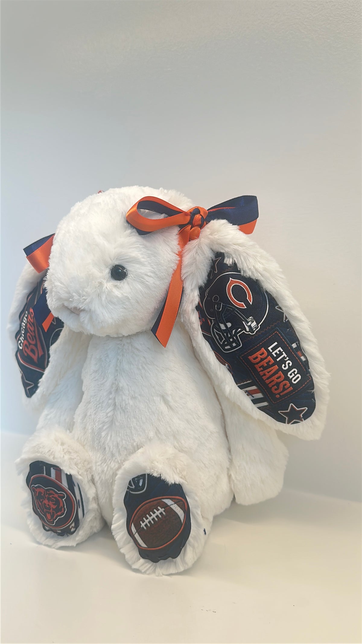 Custom Sports Team Bunny (NFL, NBA, MLB, NHL)