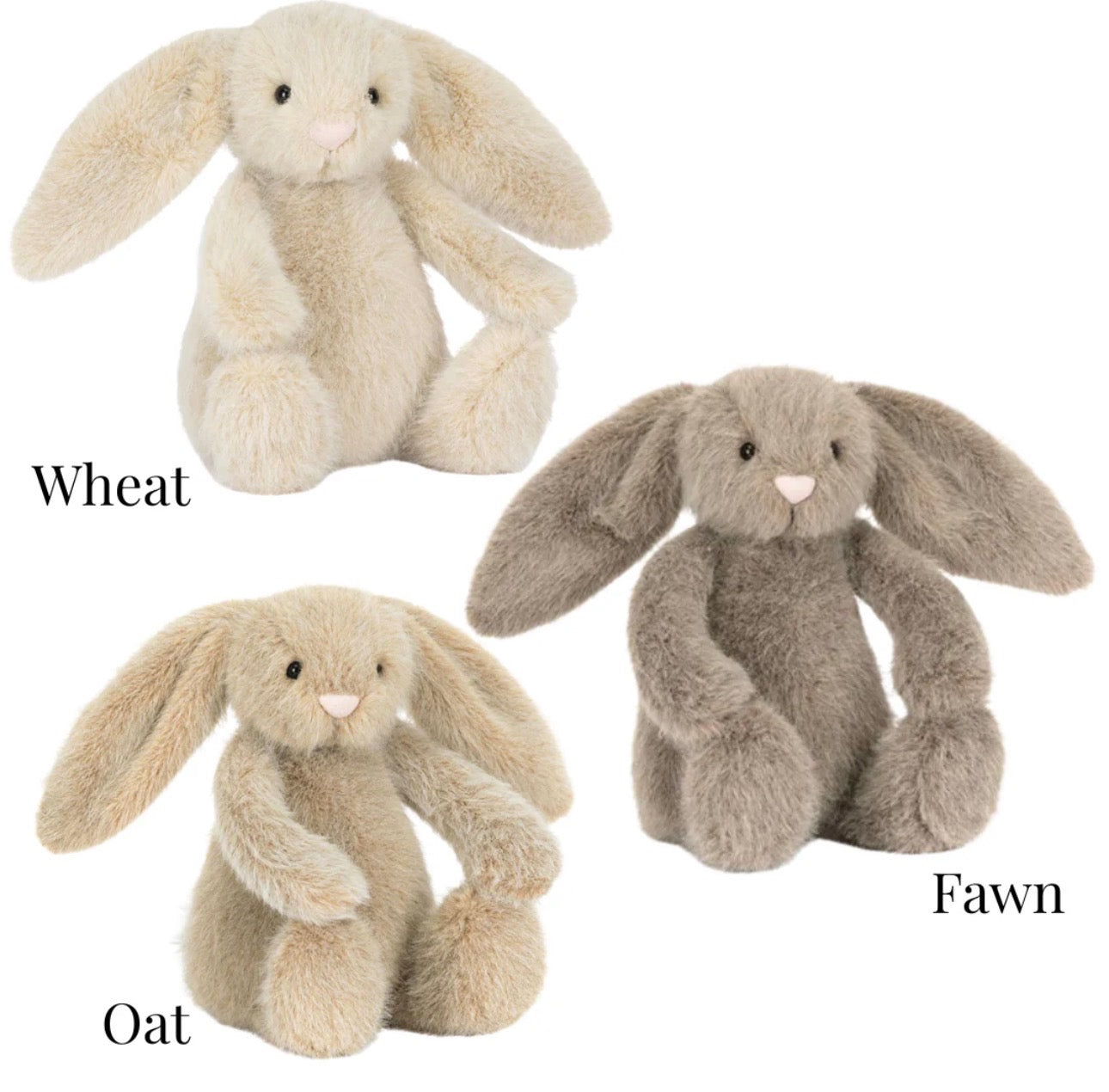 College Fluffet Bashful Bunny