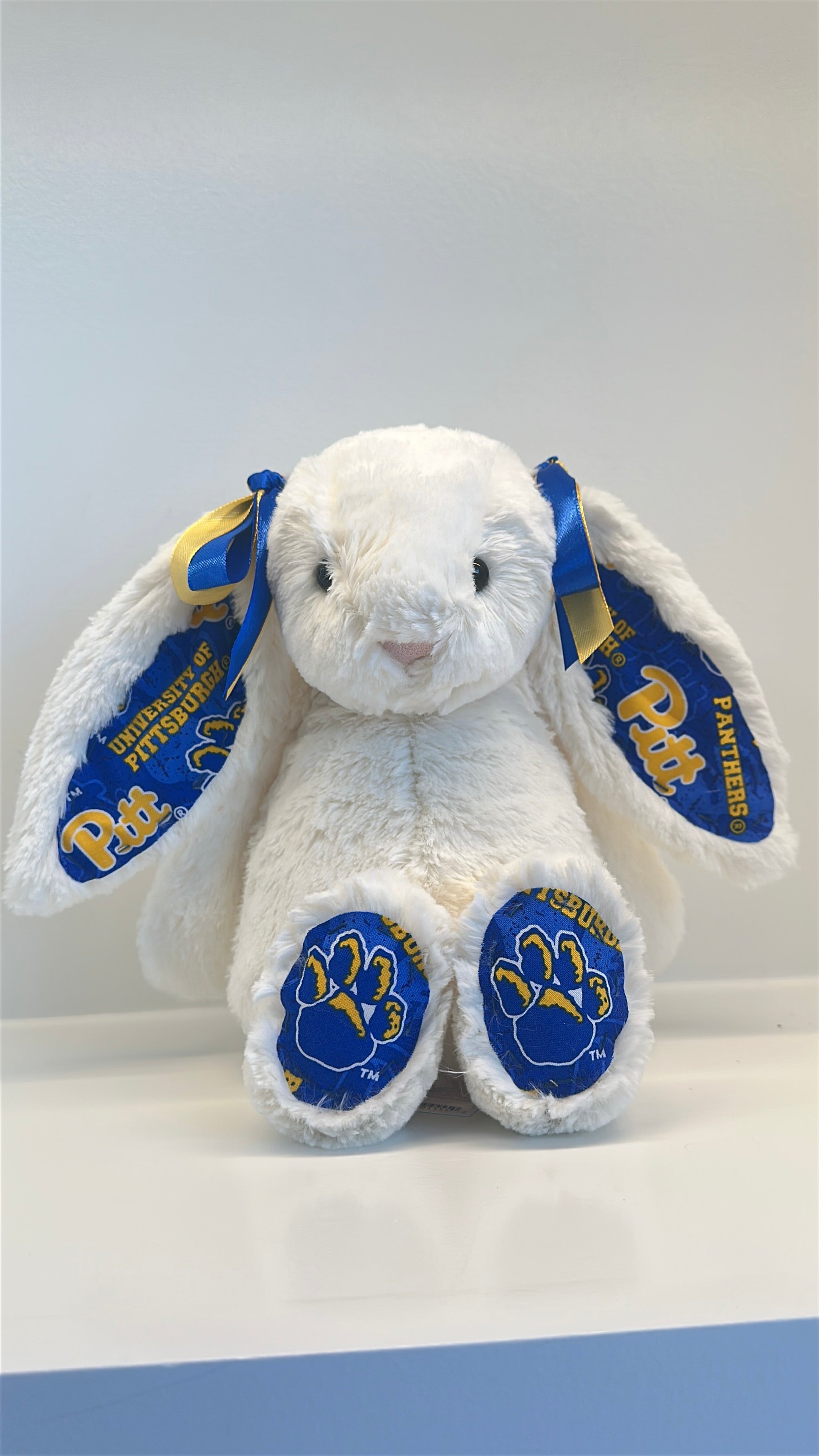 University of Pittsburgh Custom College Jellycat Bashful Bunny