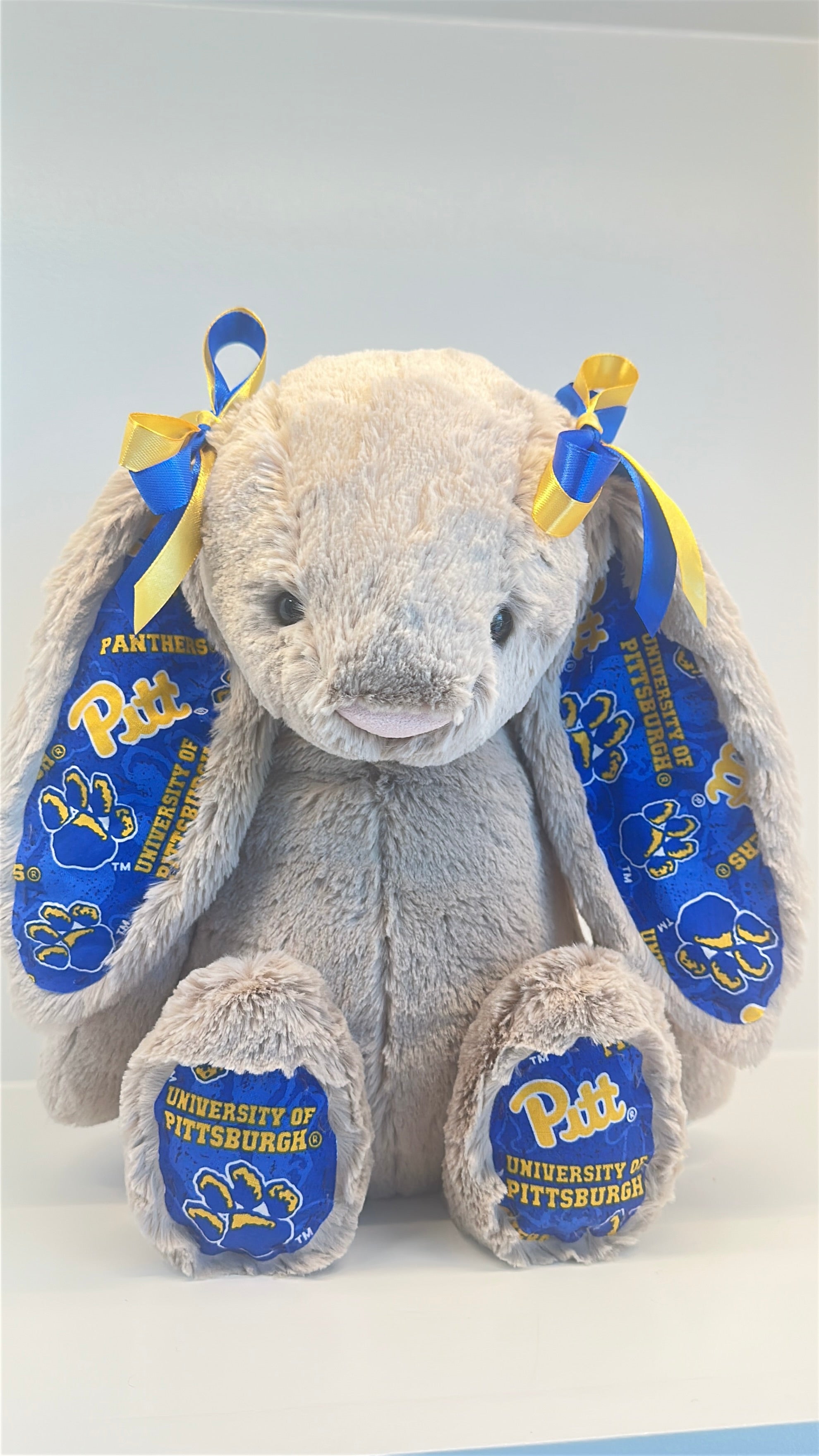 University of Pittsburgh Custom College Jellycat Bashful Bunny