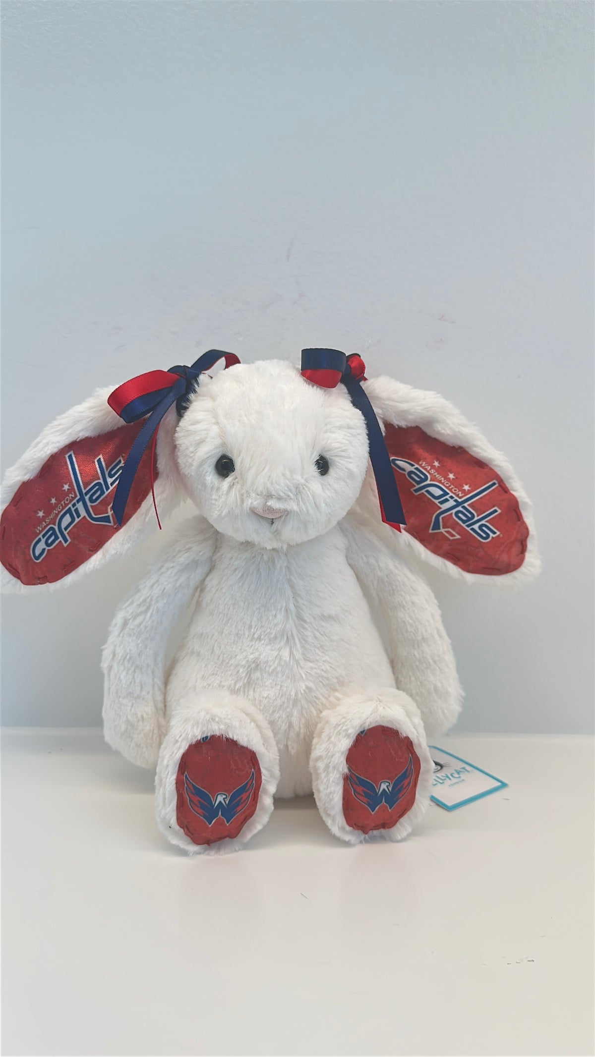 Custom Sports Team Bunny (NFL, NBA, MLB, NHL)