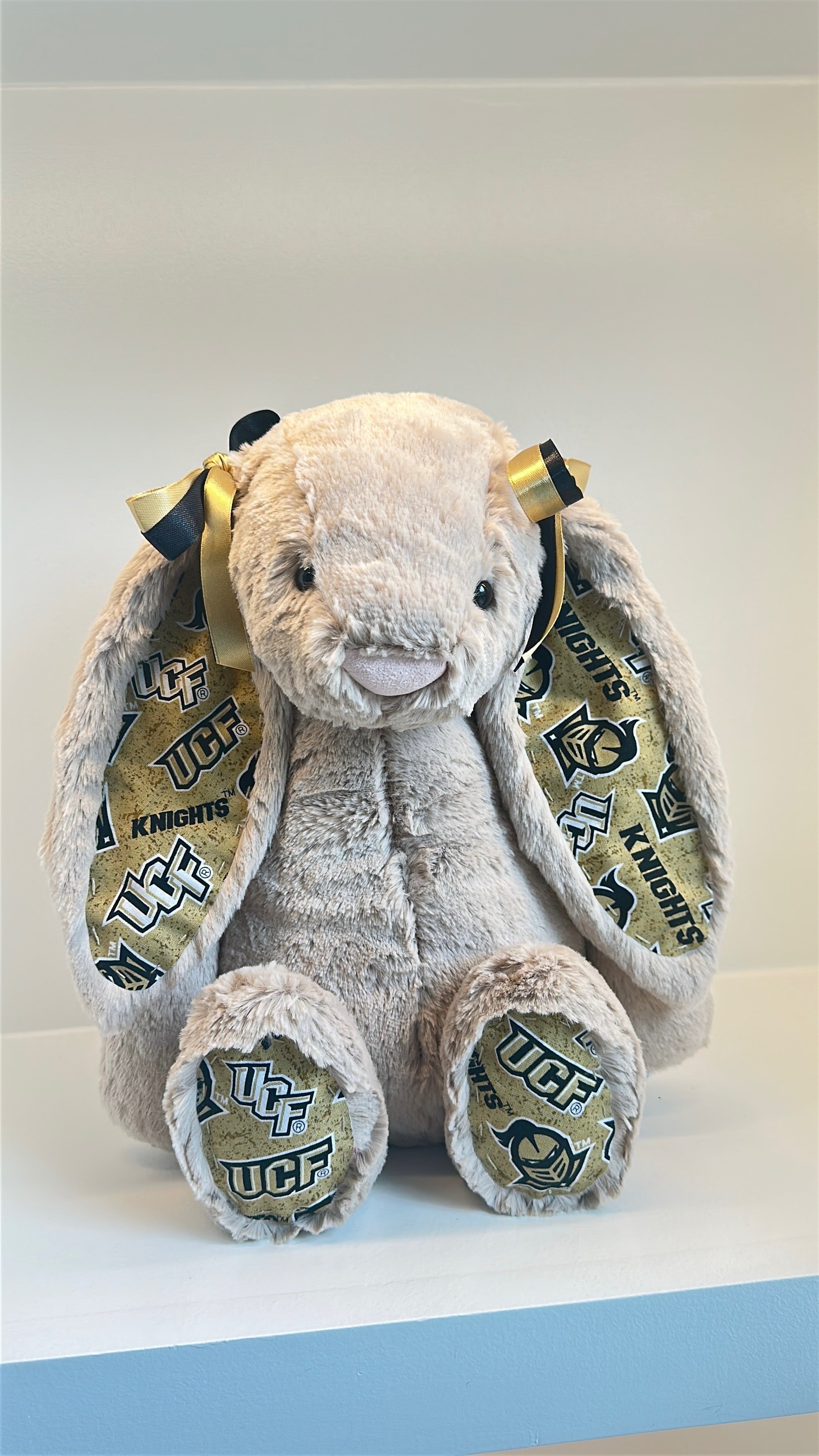 University of Central Florida (UCF) College Jellycat Bunny