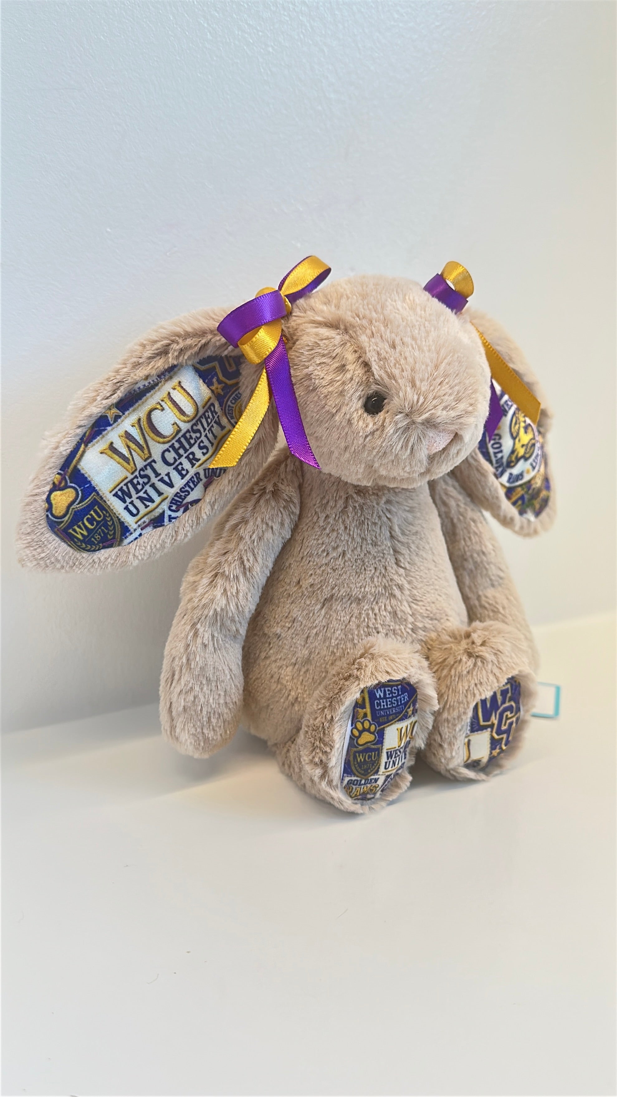 West Chester Fully Custom College Jellycat Bunny