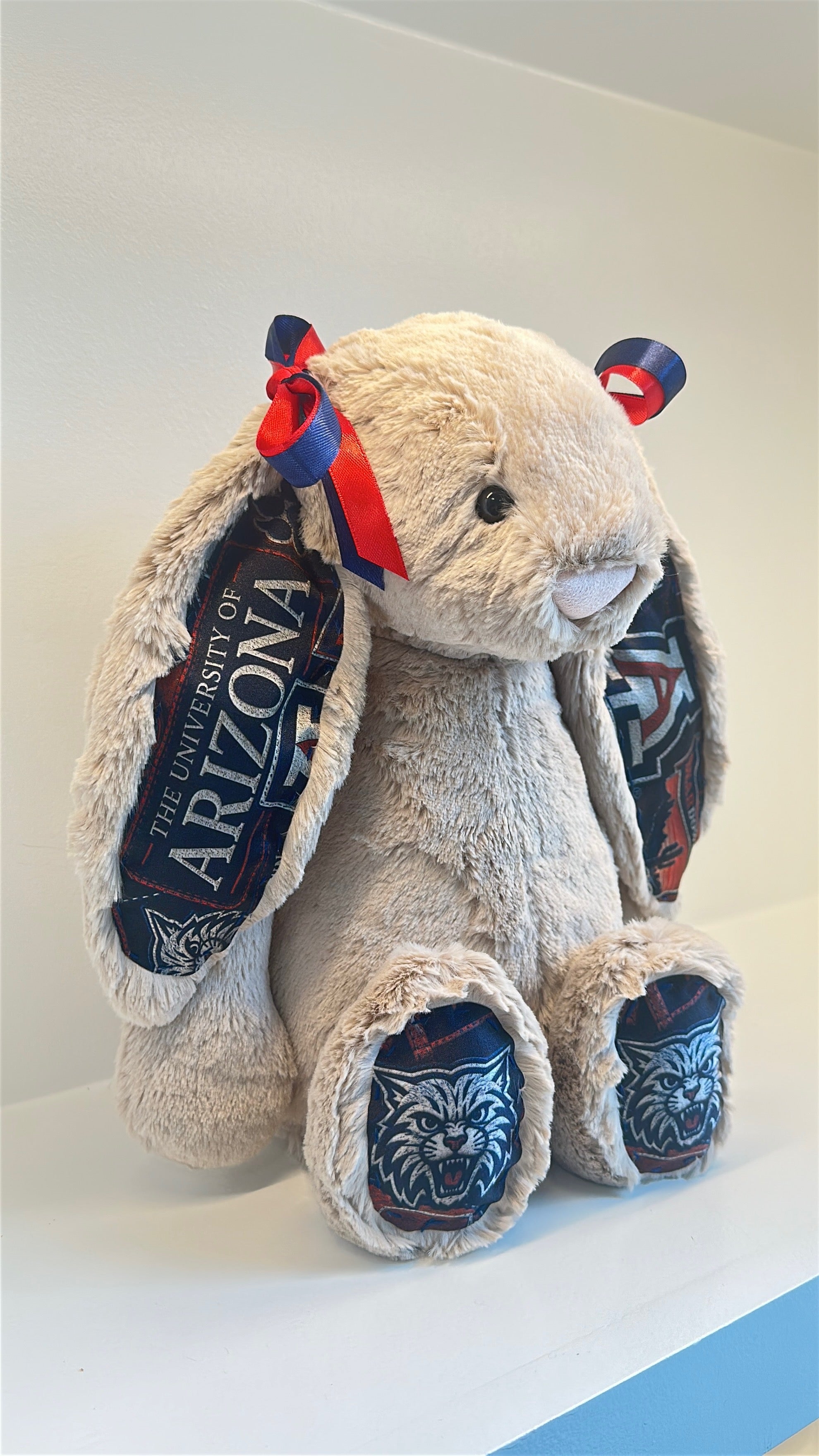 University of Arizona Custom College Jellycat Bunny
