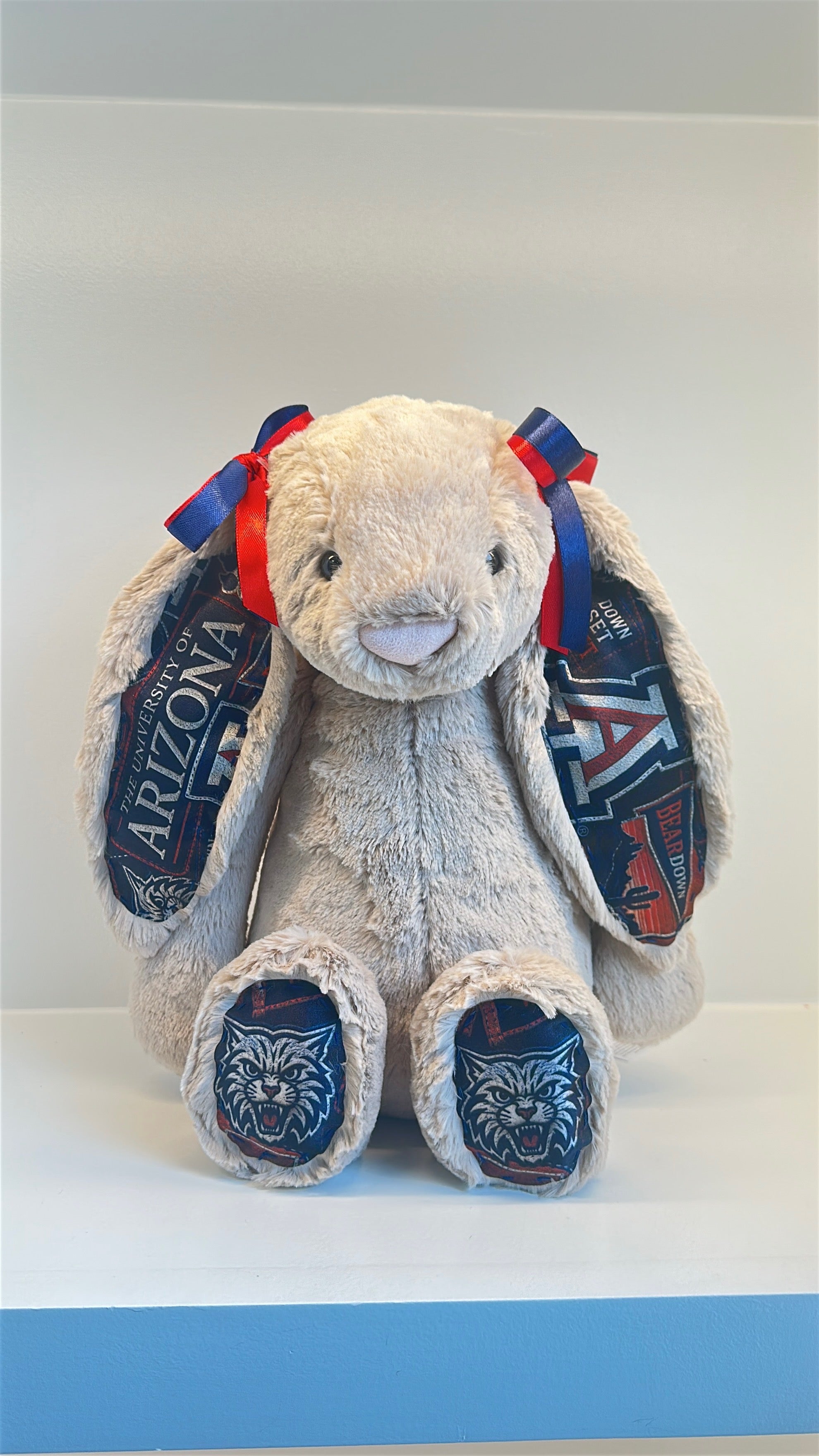 University of Arizona Custom College Jellycat Bunny