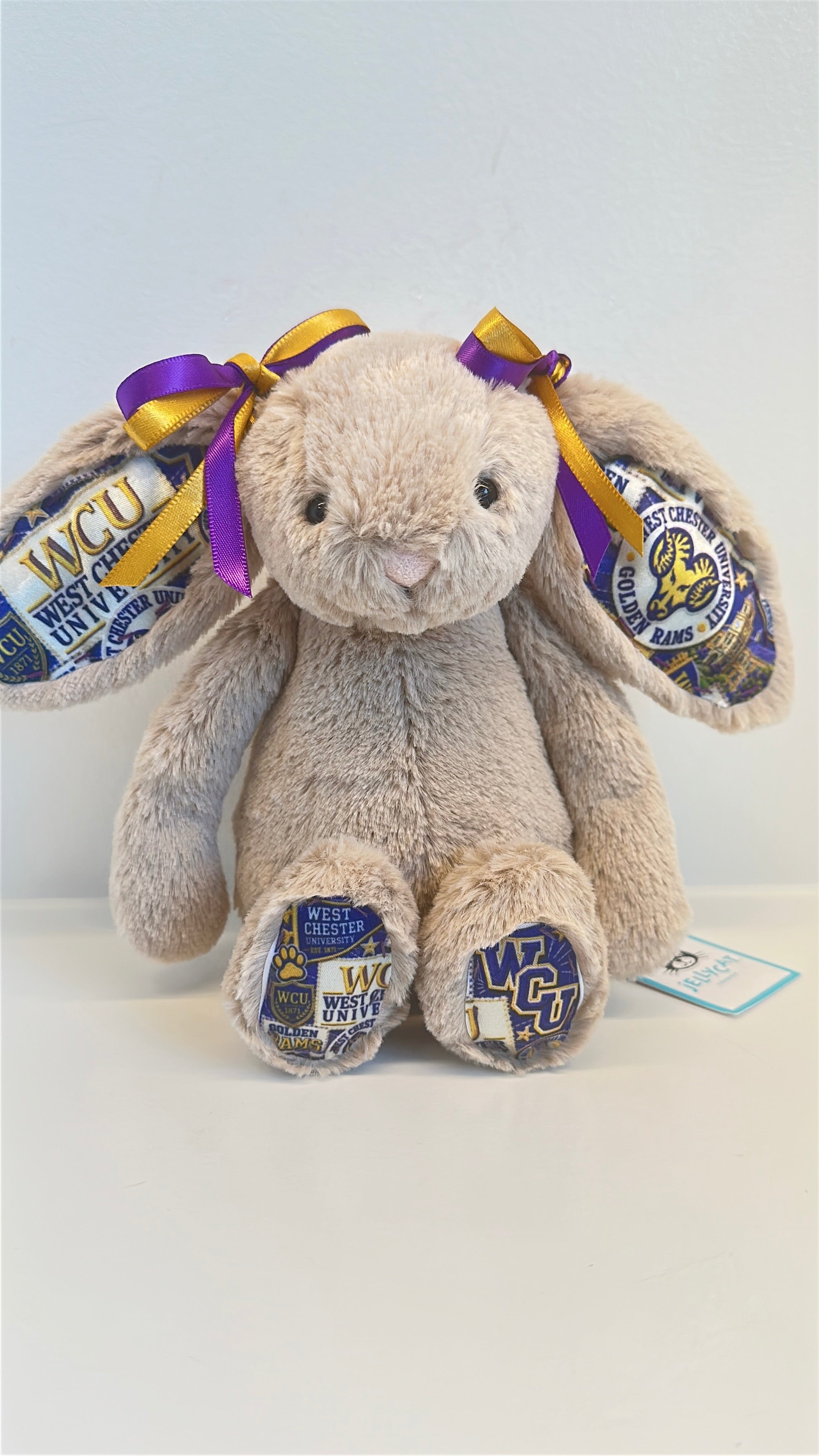West Chester Fully Custom College Jellycat Bunny