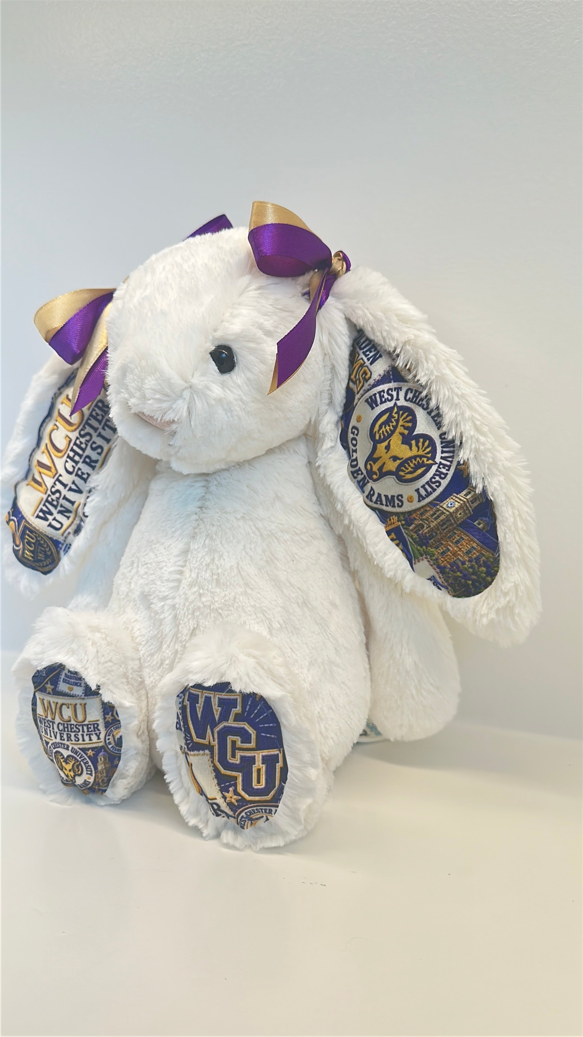 West Chester Fully Custom College Jellycat Bunny