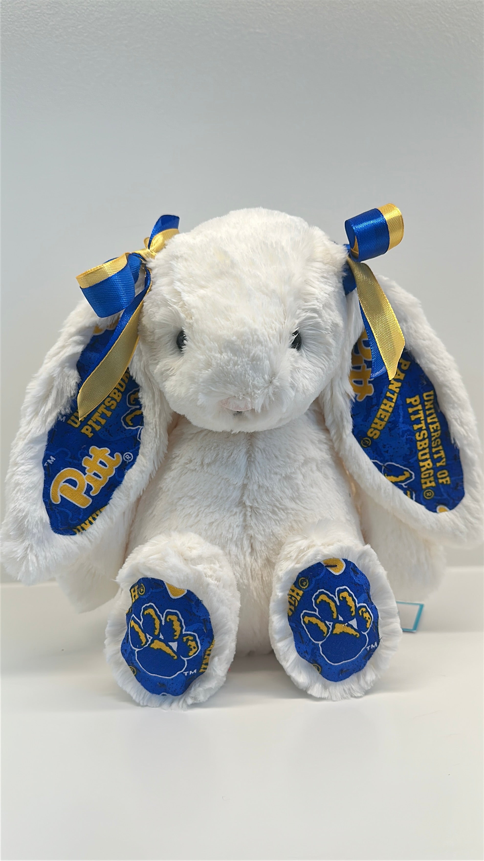 University of Pittsburgh Custom College Jellycat Bashful Bunny