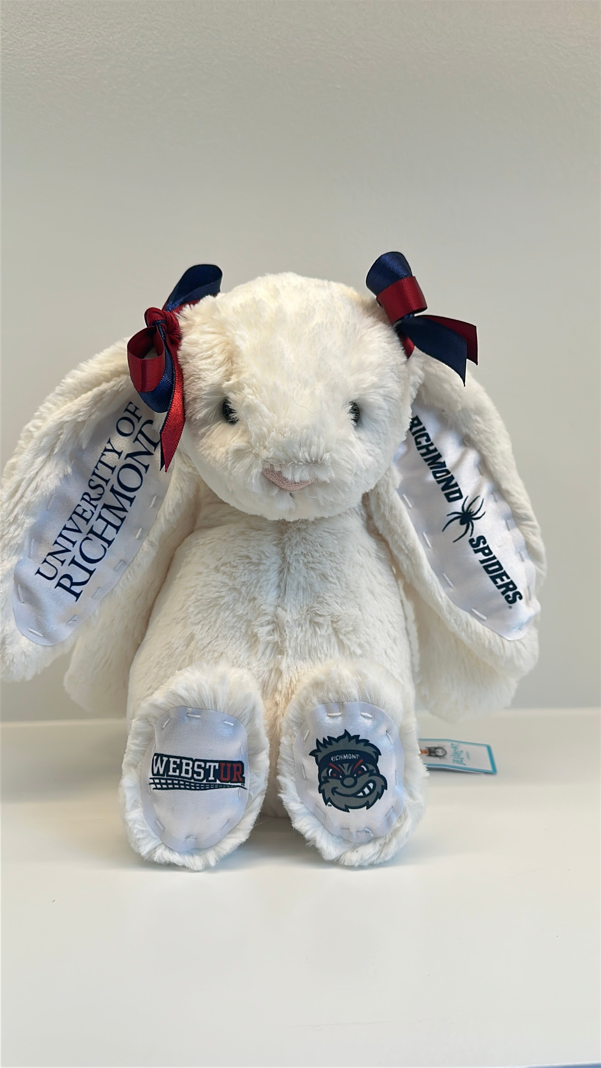 University of Richmond Custom College Jellycat Bashful Bunny