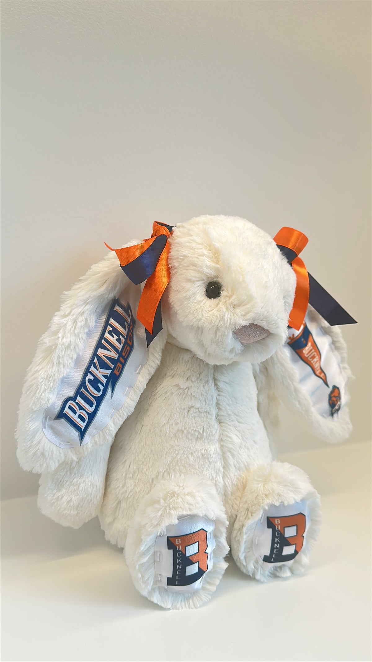 Bucknell Fully Custom College Jellycat Bunny