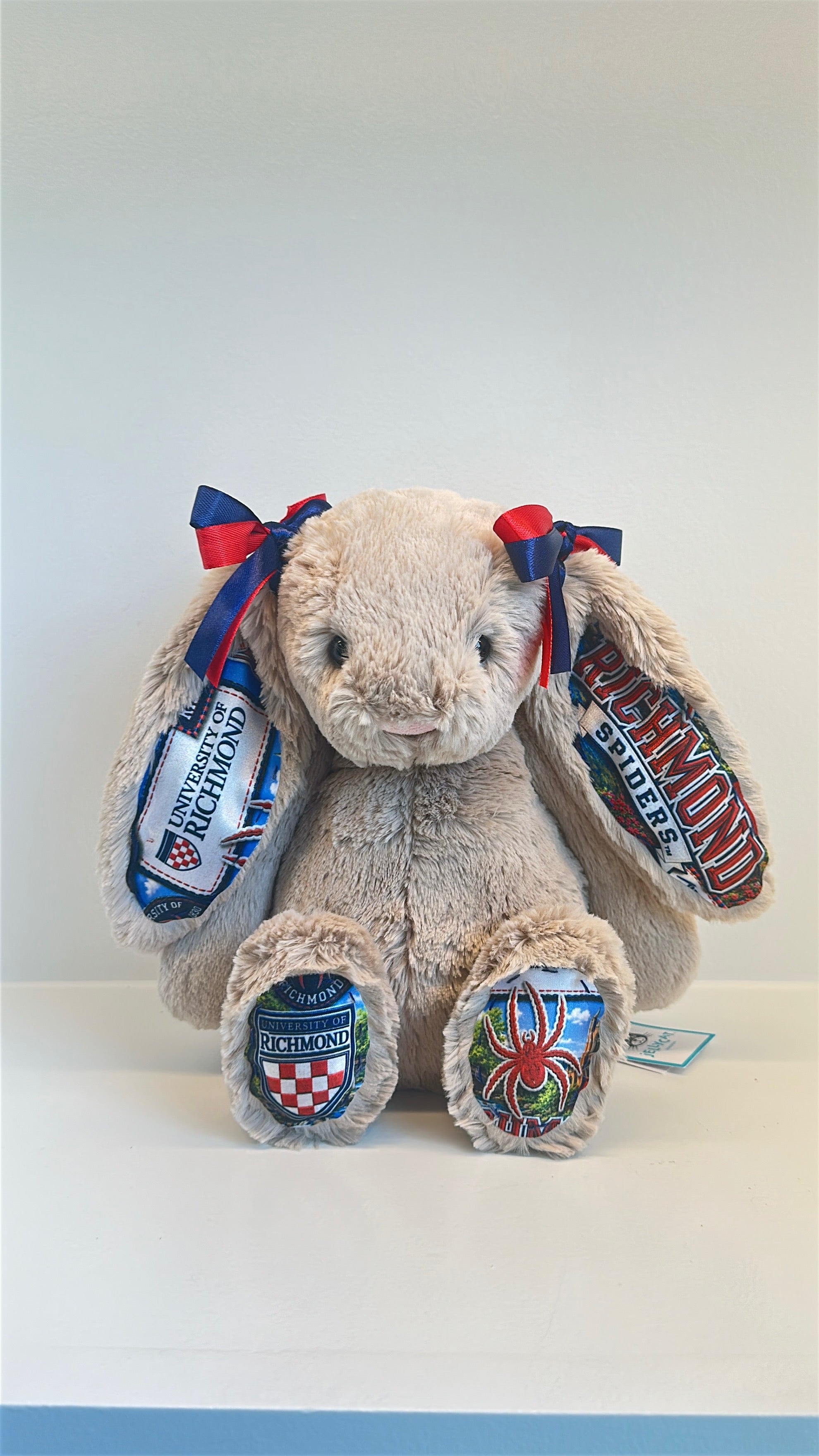 University of Richmond Custom College Jellycat Bashful Bunny