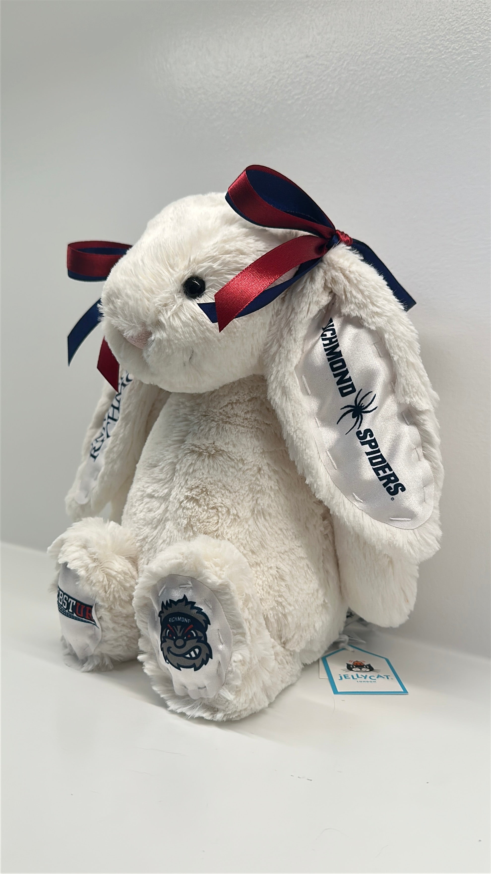 University of Richmond Custom College Jellycat Bashful Bunny