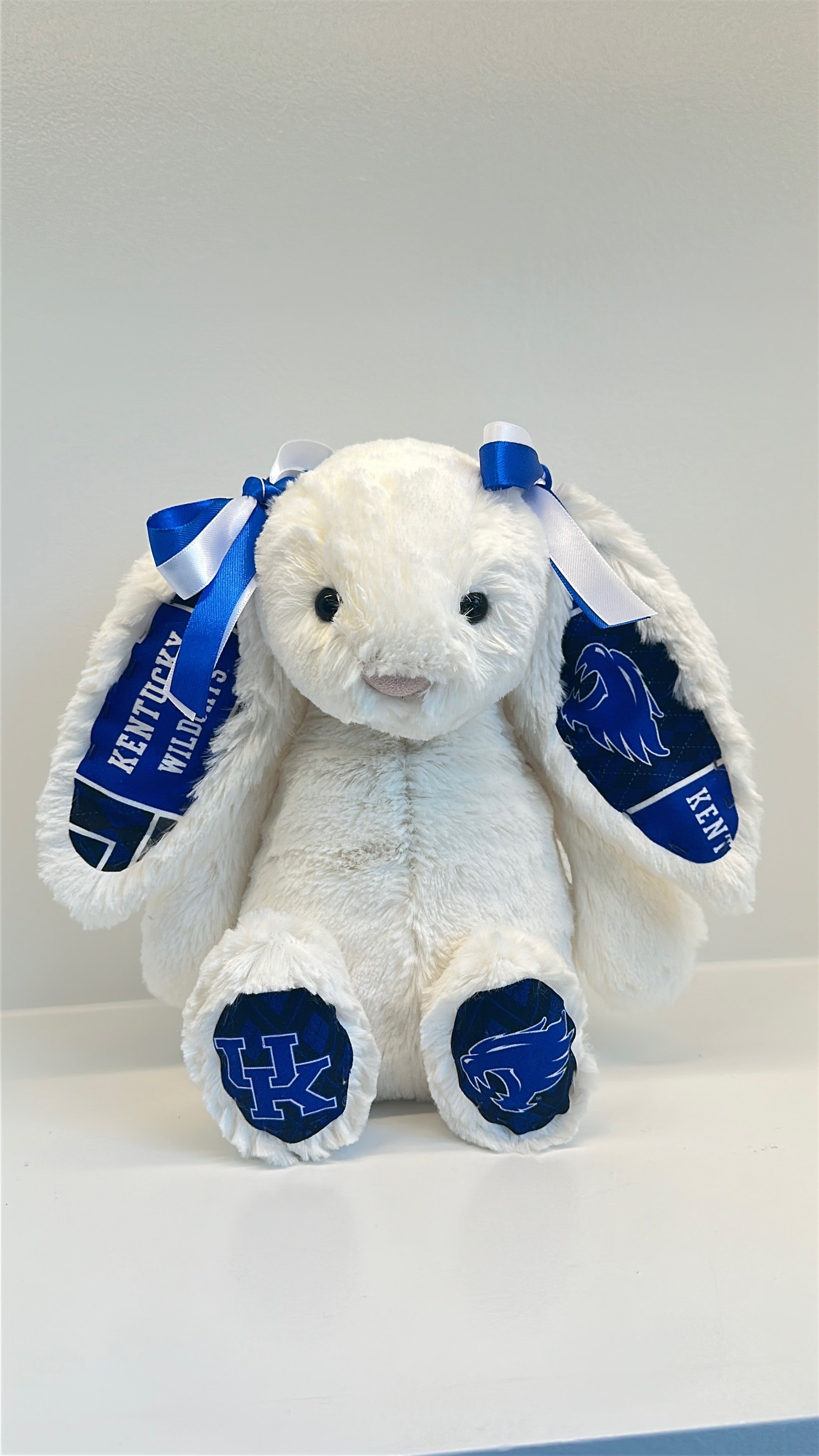 University of Kentucky College Jellycat Bunny