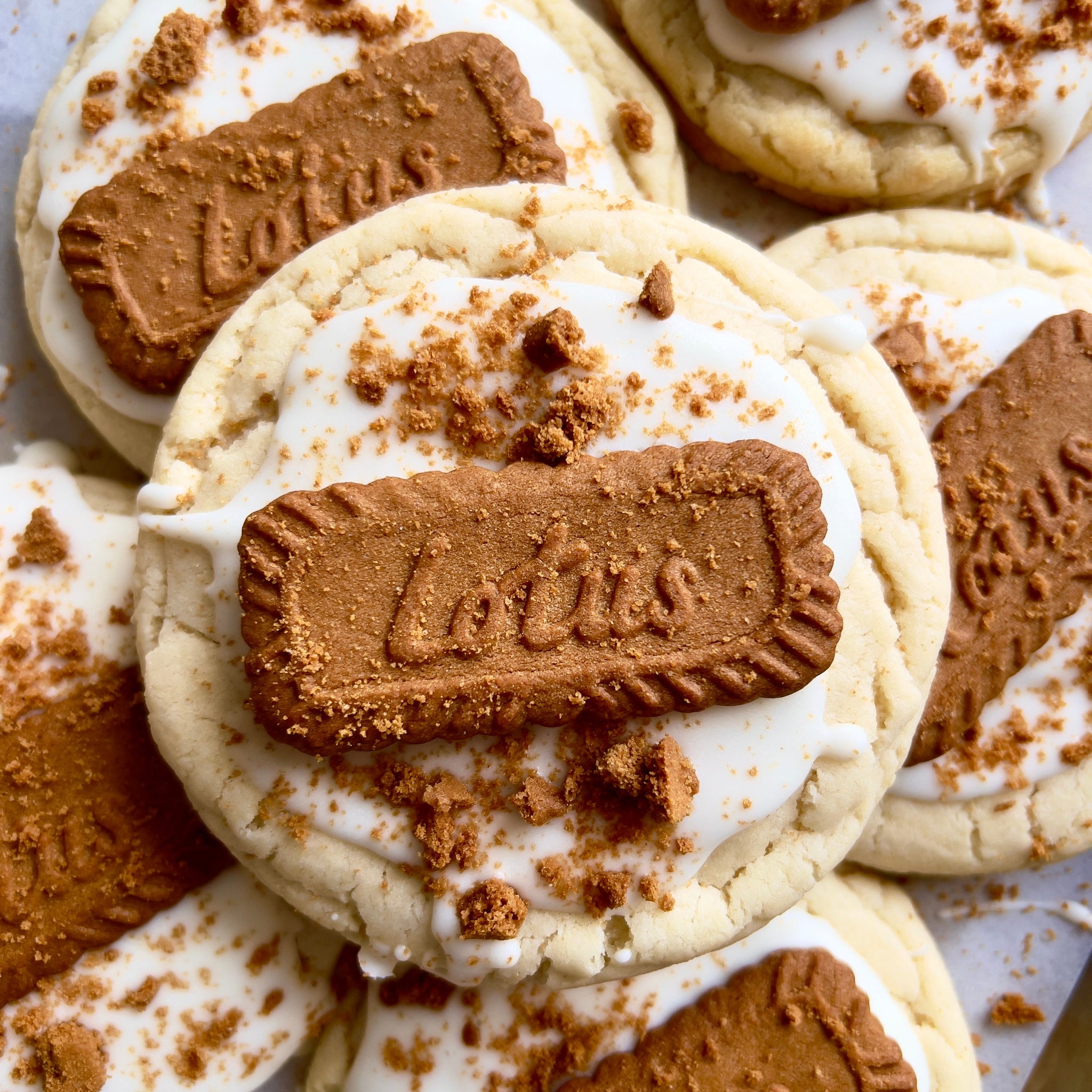 White Chocolate Cookie Butter Cookies