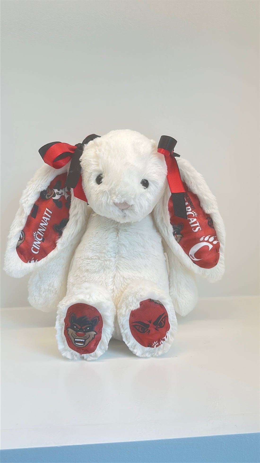 University of Cincinnati College Jellycat Bunny