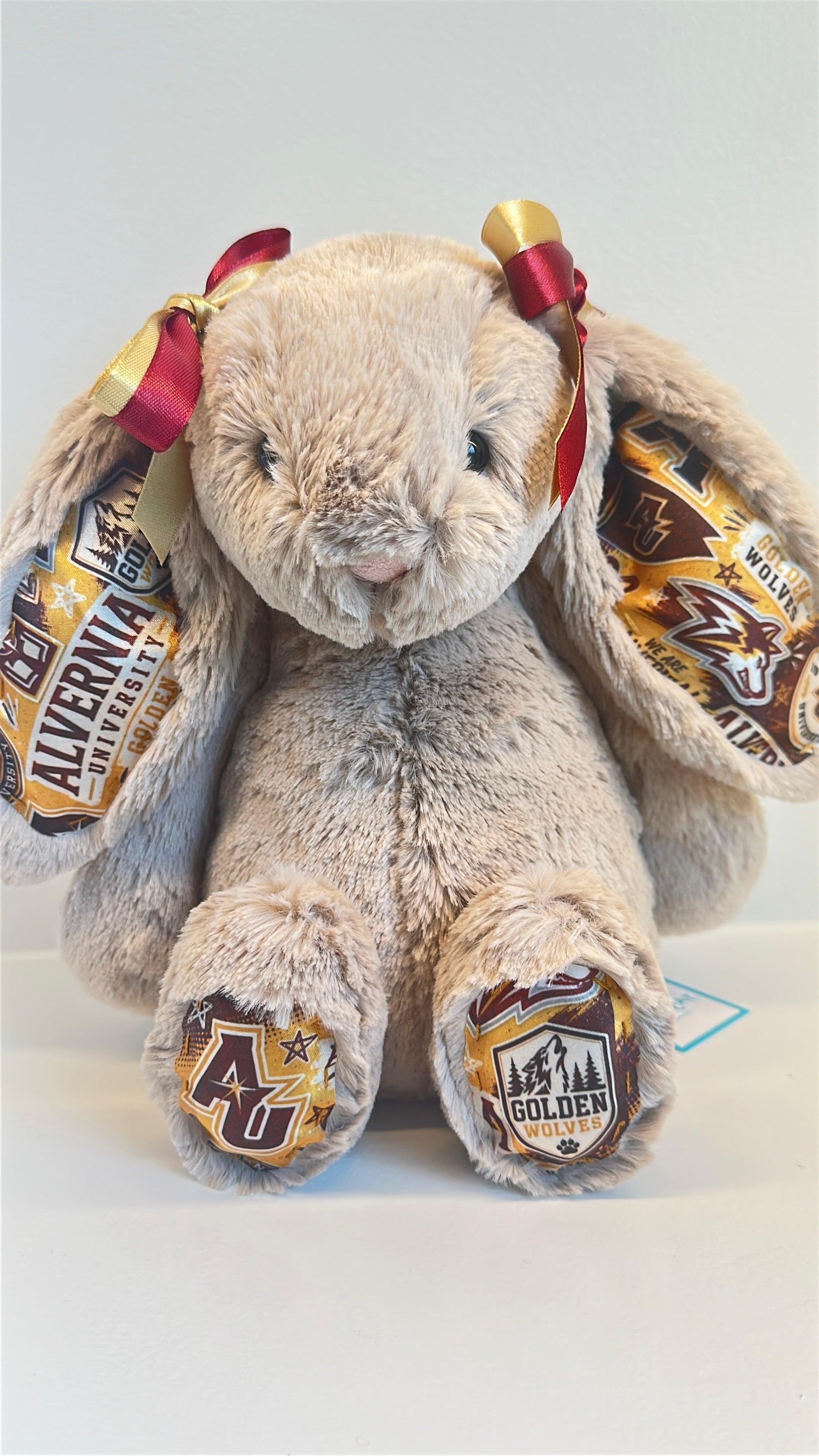 Alvernia University Fully Custom Jellycat Bunny