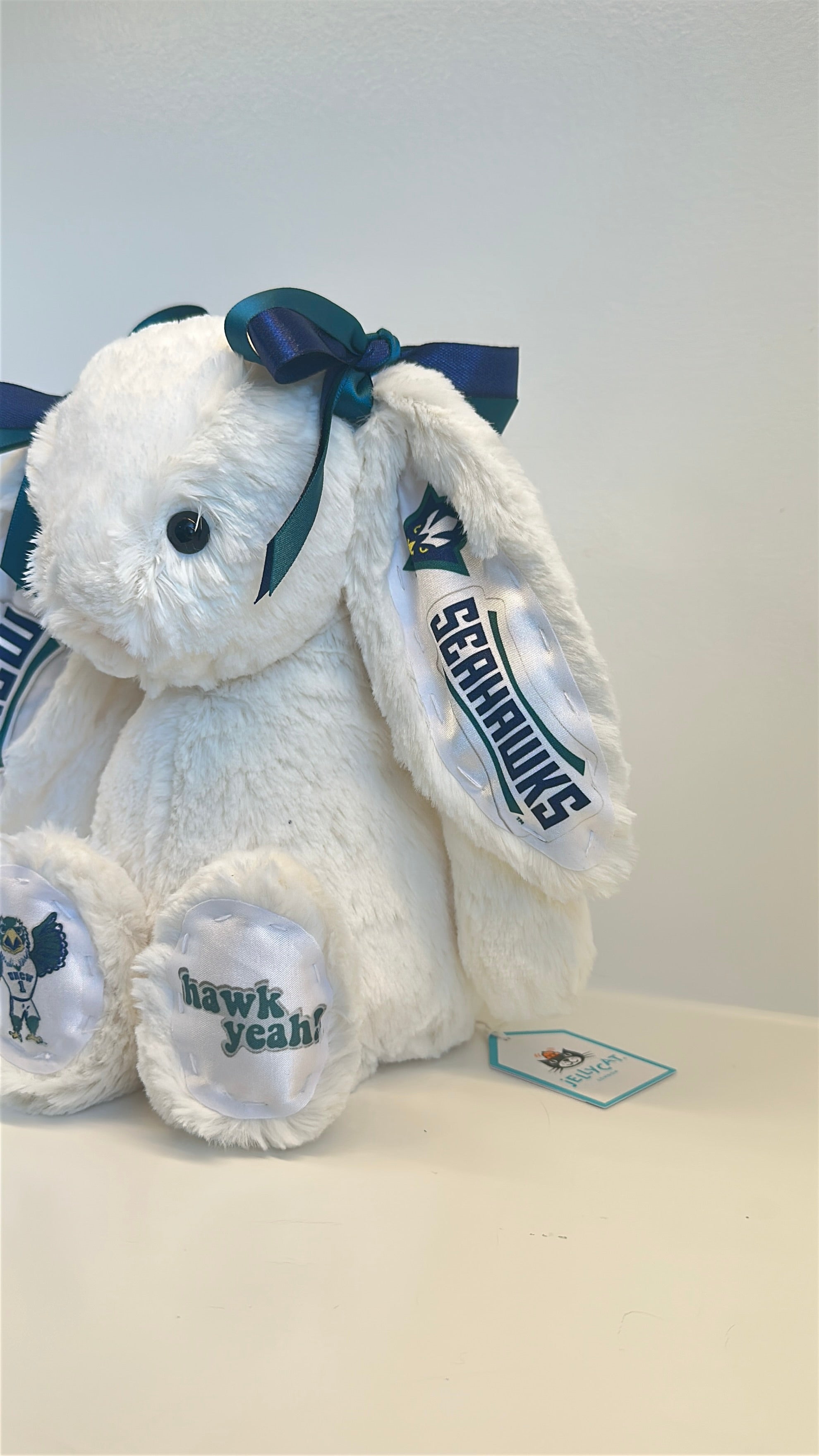 University of North Carolina Wilmington (UNCW) Custom College Jellycat Bashful Bunny