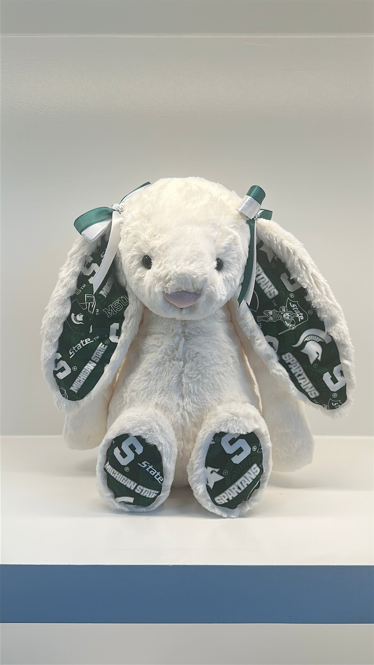 Michigan State University Custom College Jellycat Bashful Bunny
