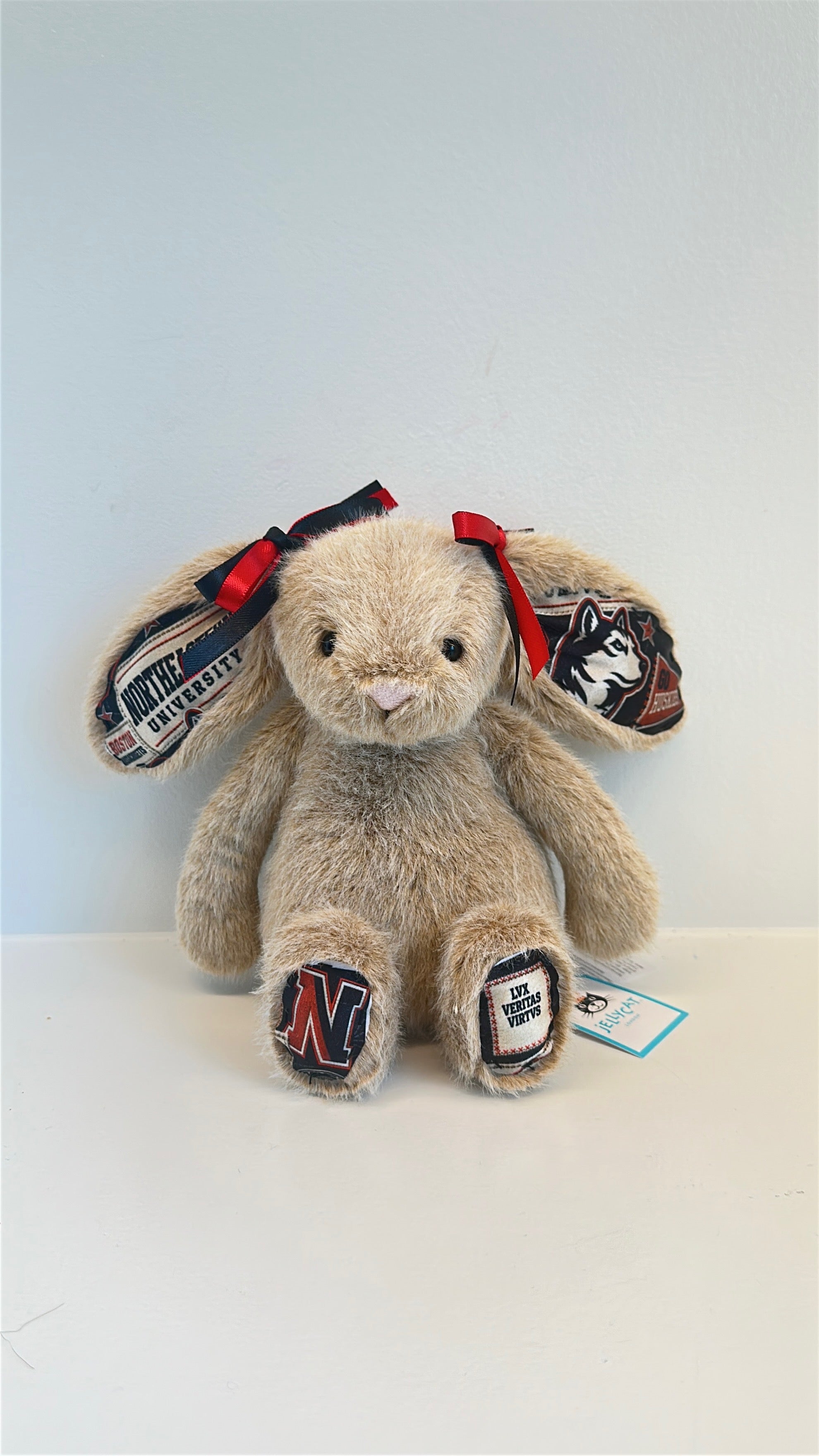 Northeastern University Custom College Jellycat Bunny