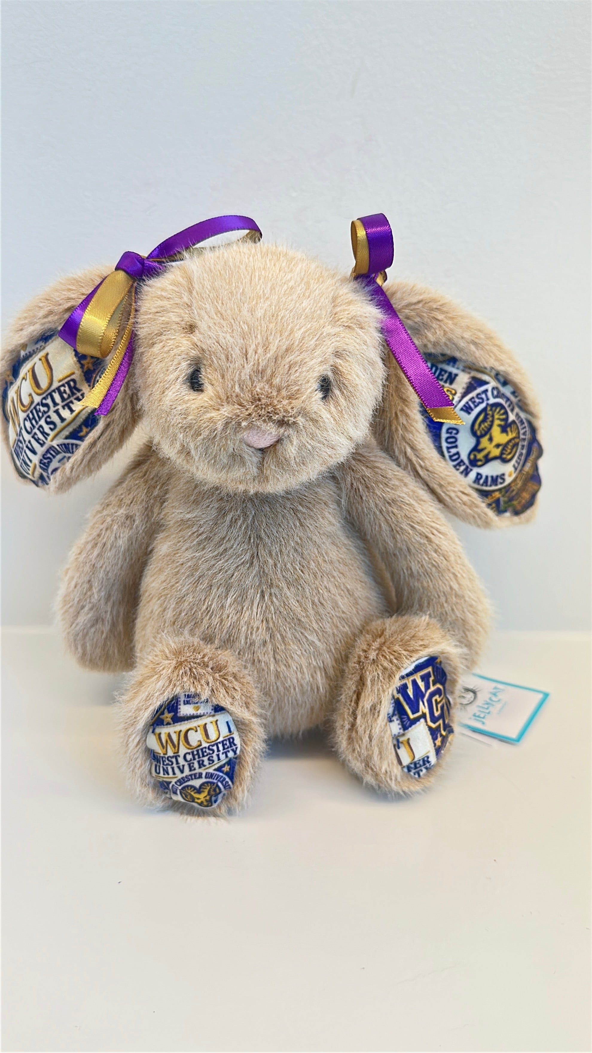 West Chester Fully Custom College Jellycat Bunny