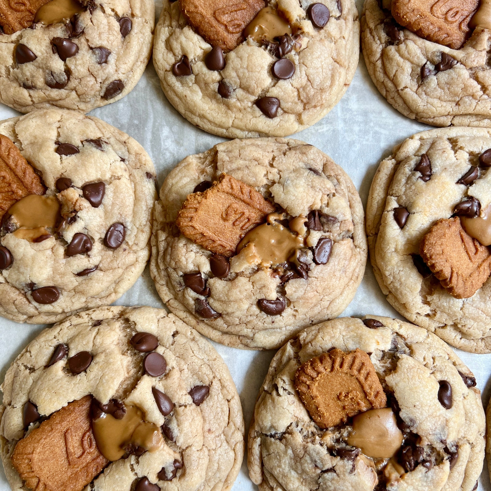 Chocolate Chip Biscoff Cookies